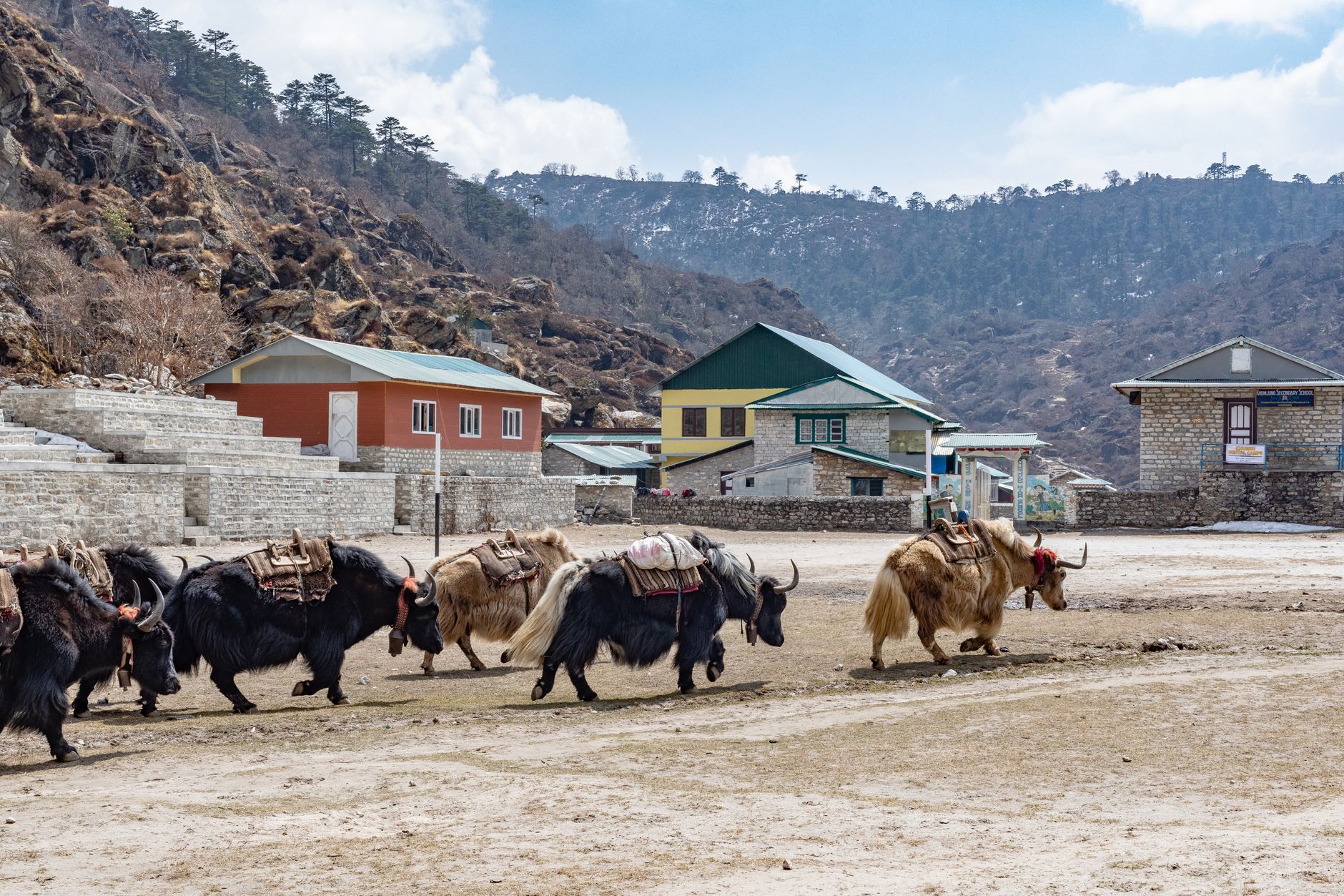 Innovative Tracking for Yaks in High-altitude Regions