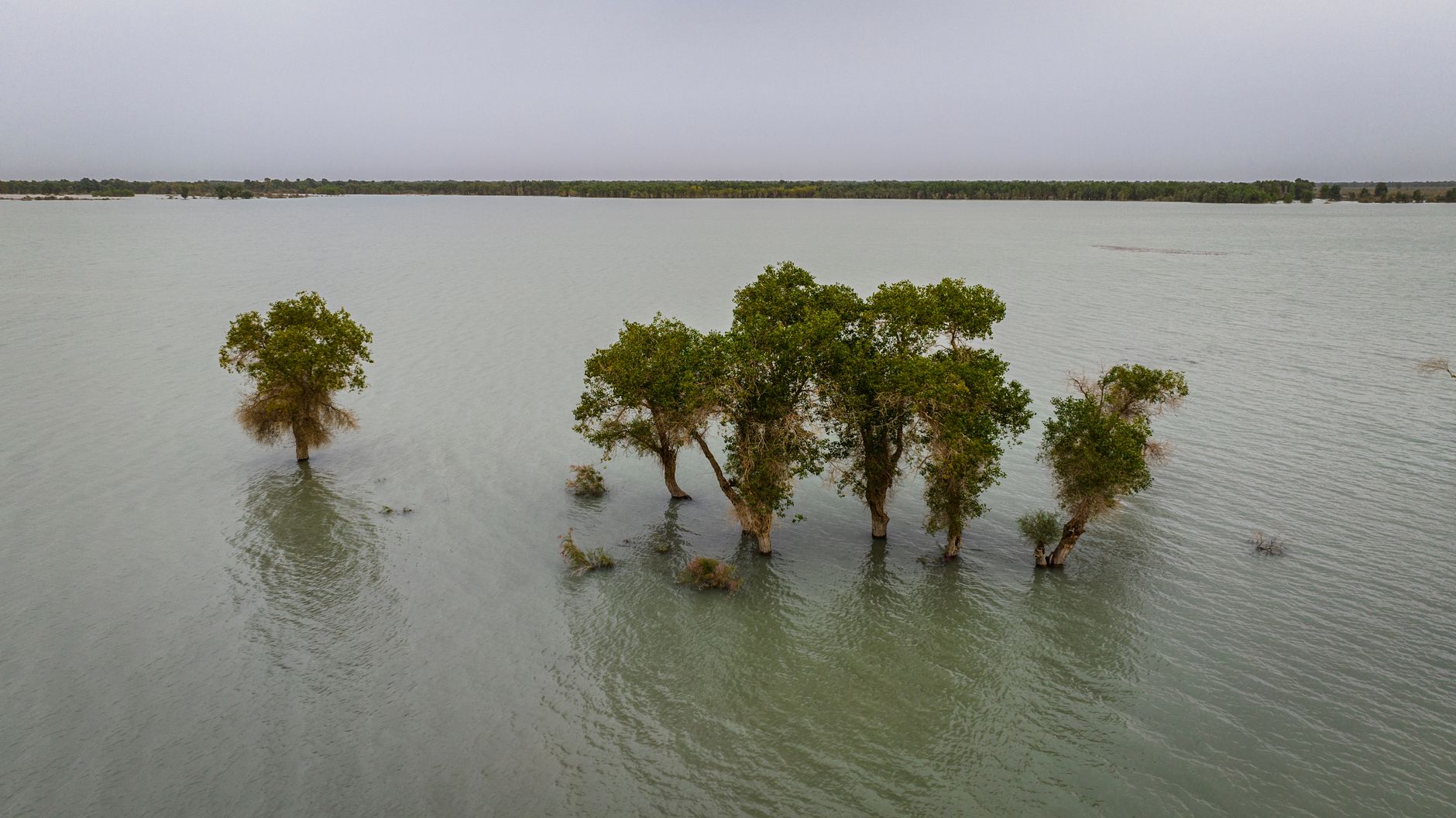 Chinese Mining in Mozambique: Environmental Peril Uncovered