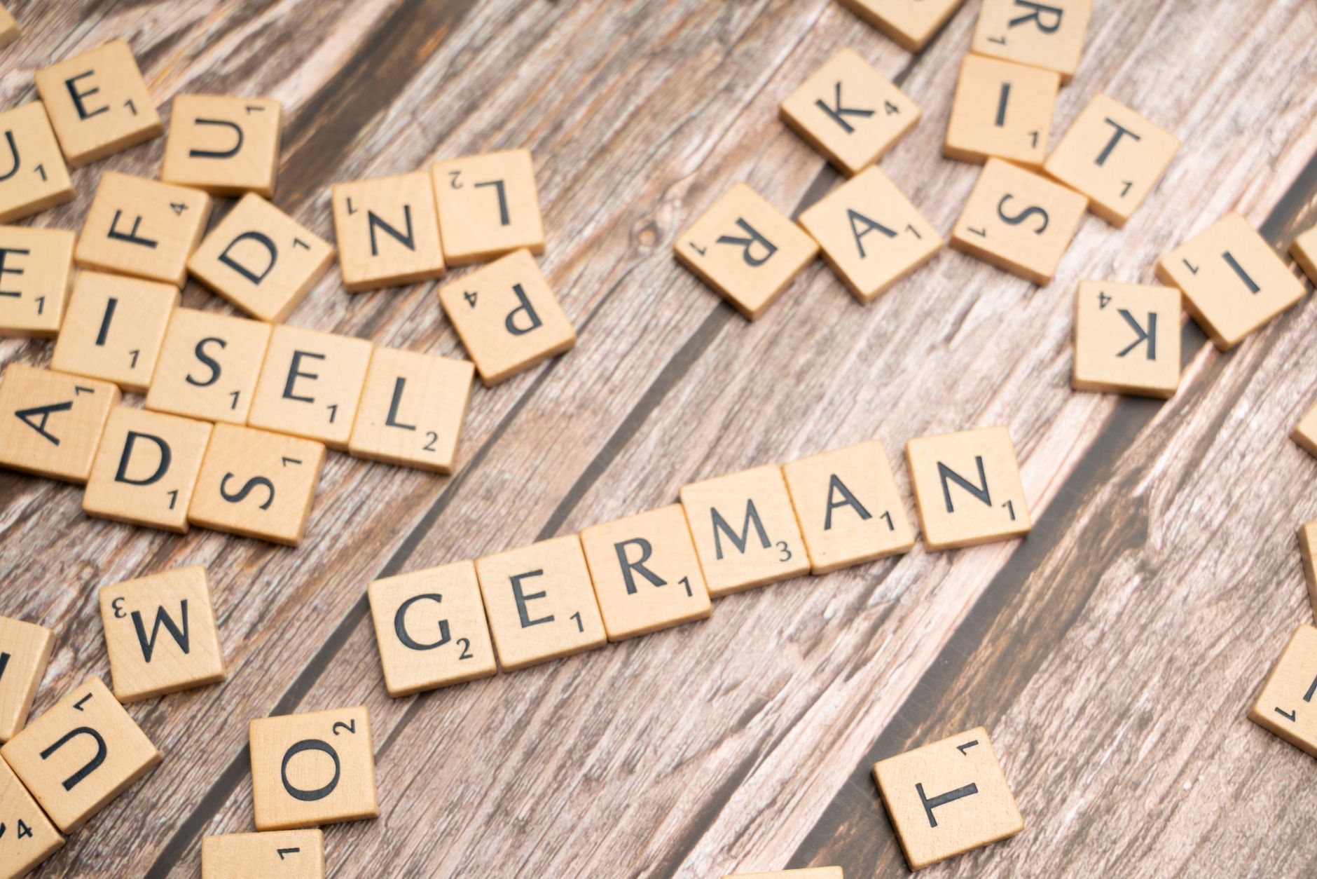 Kerala and Germany Strengthen Educational Ties