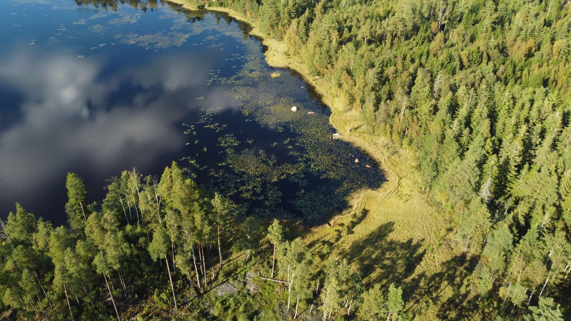 ATREE's LakeRevive: A New Era in Lake Restoration