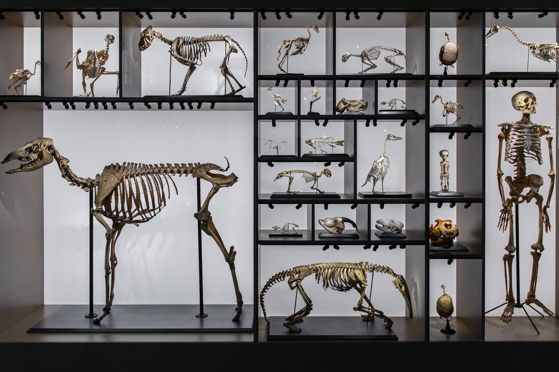 Unlikely Laboratory: Motel Room Yields Clues to Life's Origins