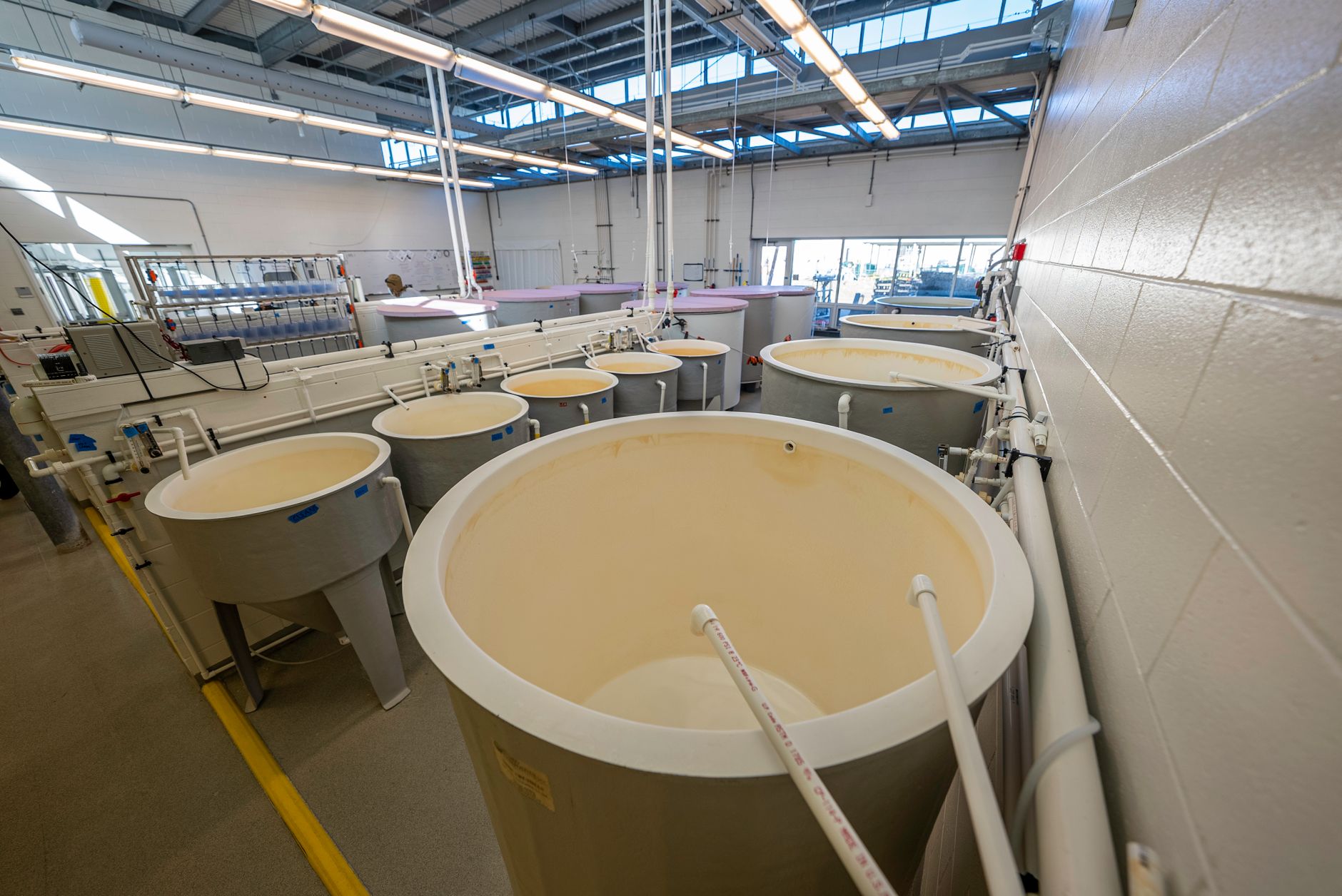 ZPC Entrusts Lummus with Record-Breaking PDH Unit