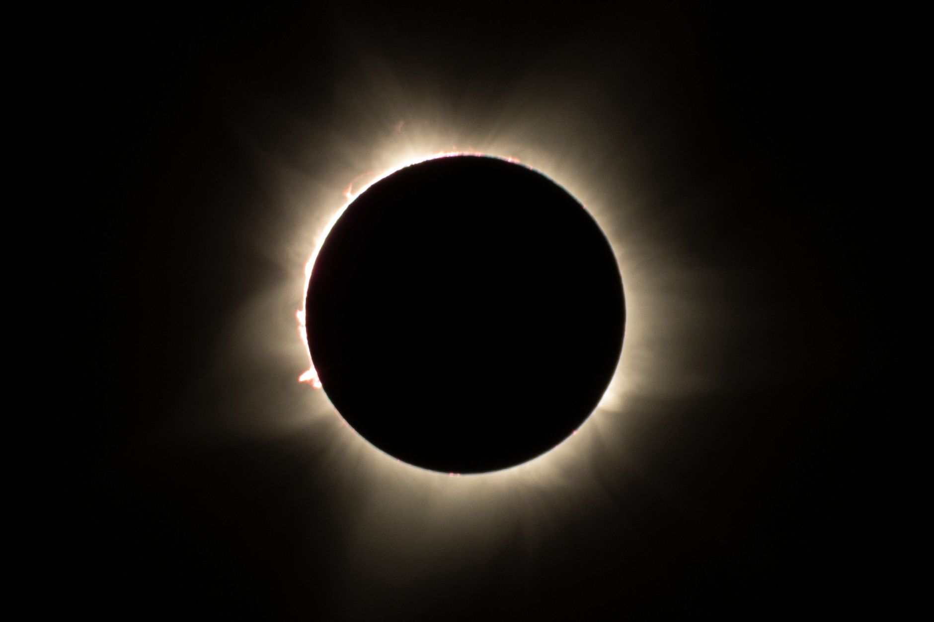 RRI Scientists Unveil 'Petal-Like' Structures in Solar Corona