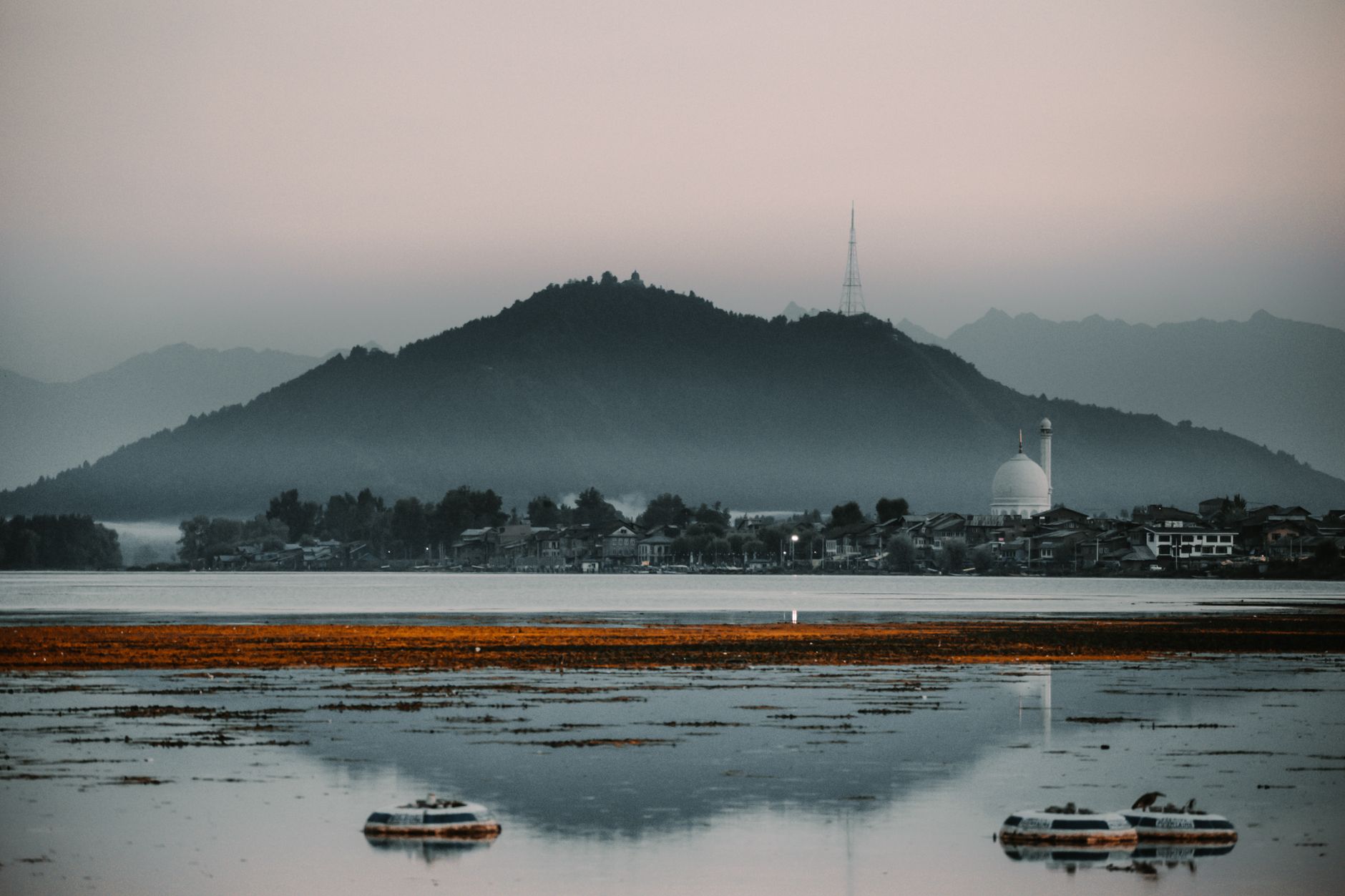 Kashmir's Dal Lake: A Jewel Under Siege