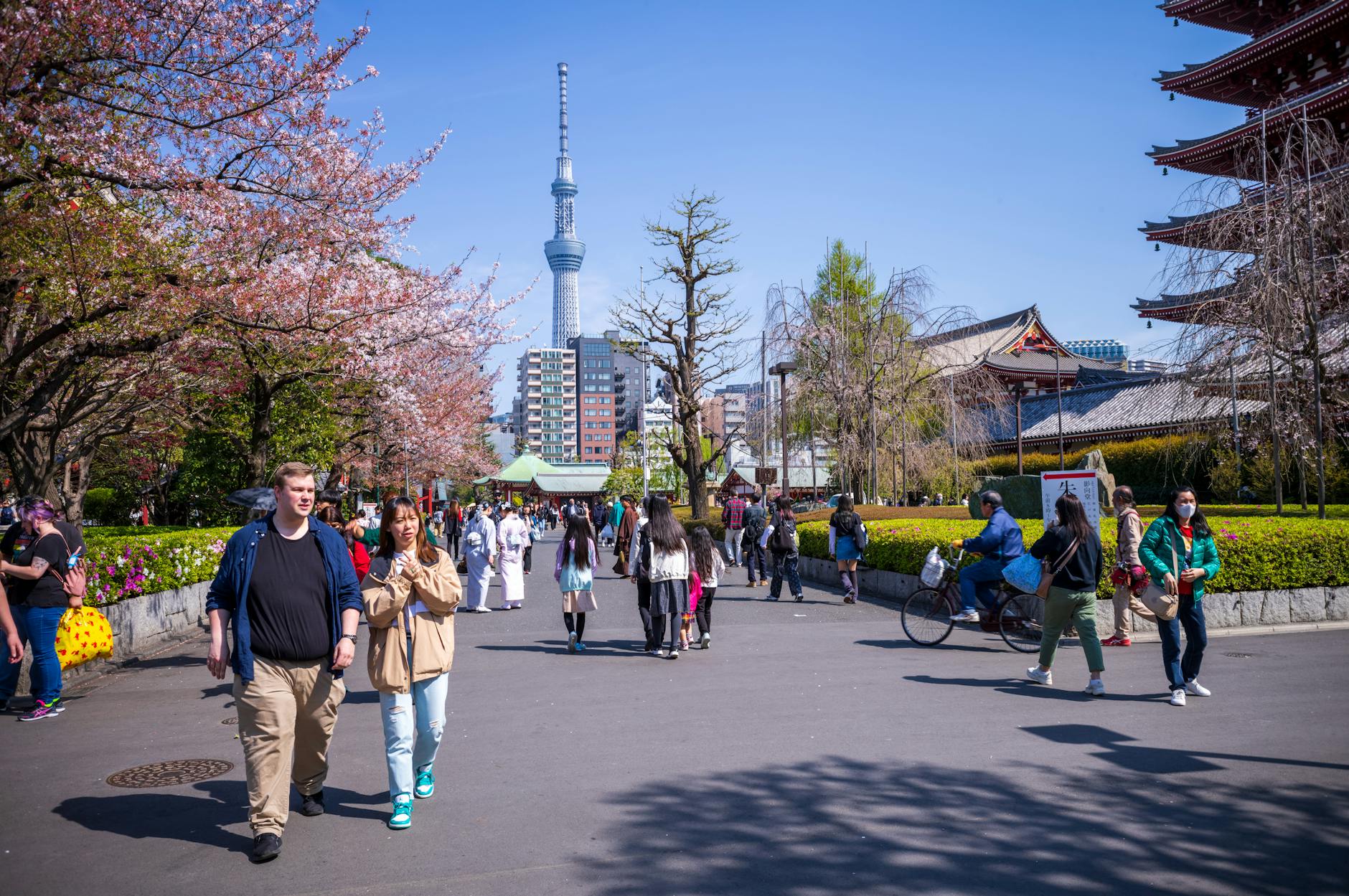 Indian Students Embark on a Scientific Journey to Japan