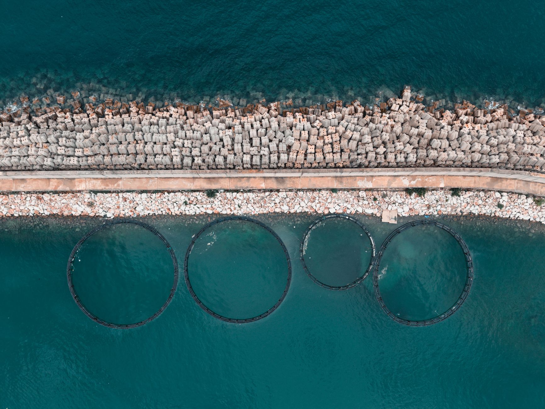 India's Blue Economy Surges with High-Tech Aquaculture