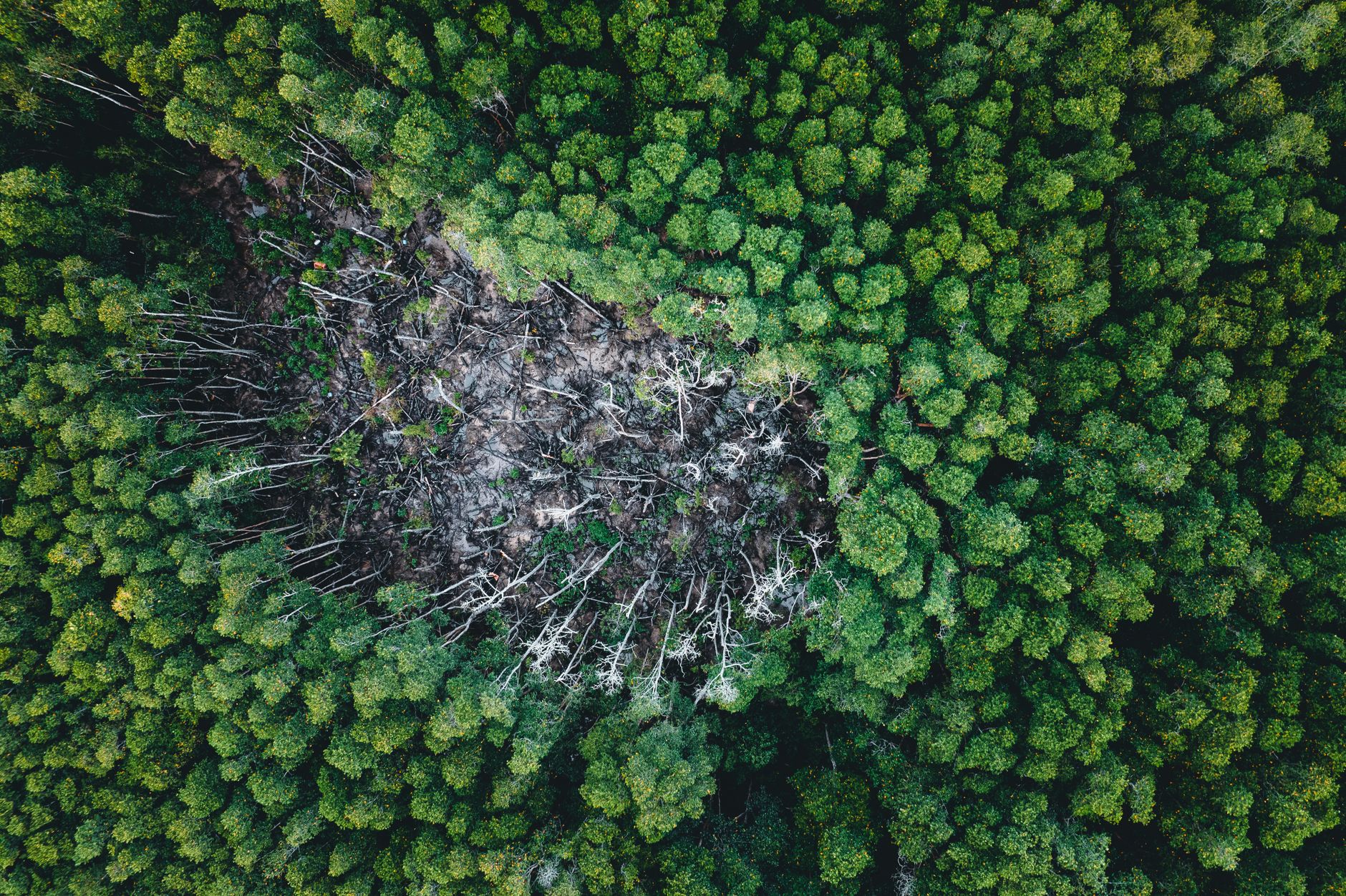 Top 10% Consumers' Environmental Impact Overshadows Global Funding Needs