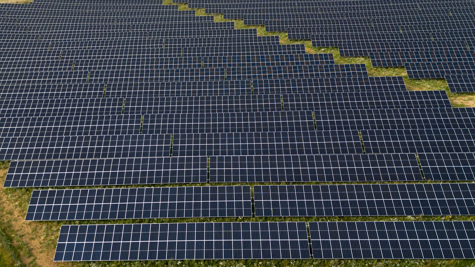 Regulatory Oversight Fuels NTPC's Solar Expansion Near Gujarat Wetlands