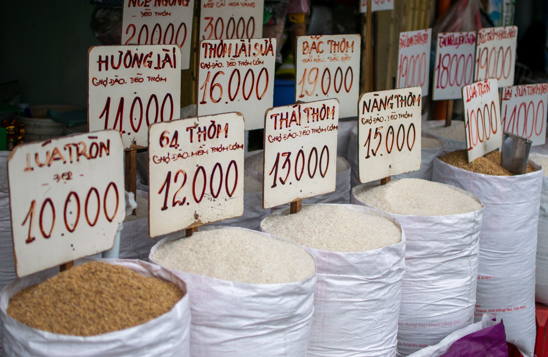 Global Food Prices Surge to Highest Levels in Four Years