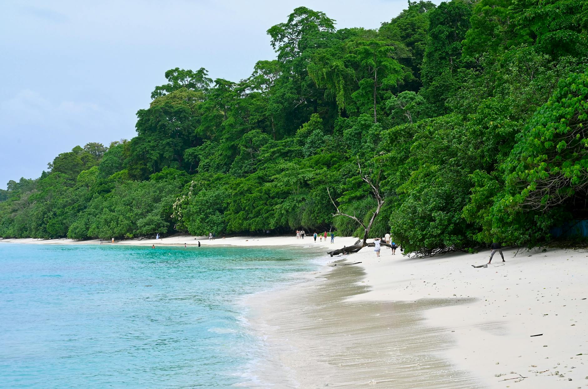 Congress Warns of Environmental Peril in Nicobar Project