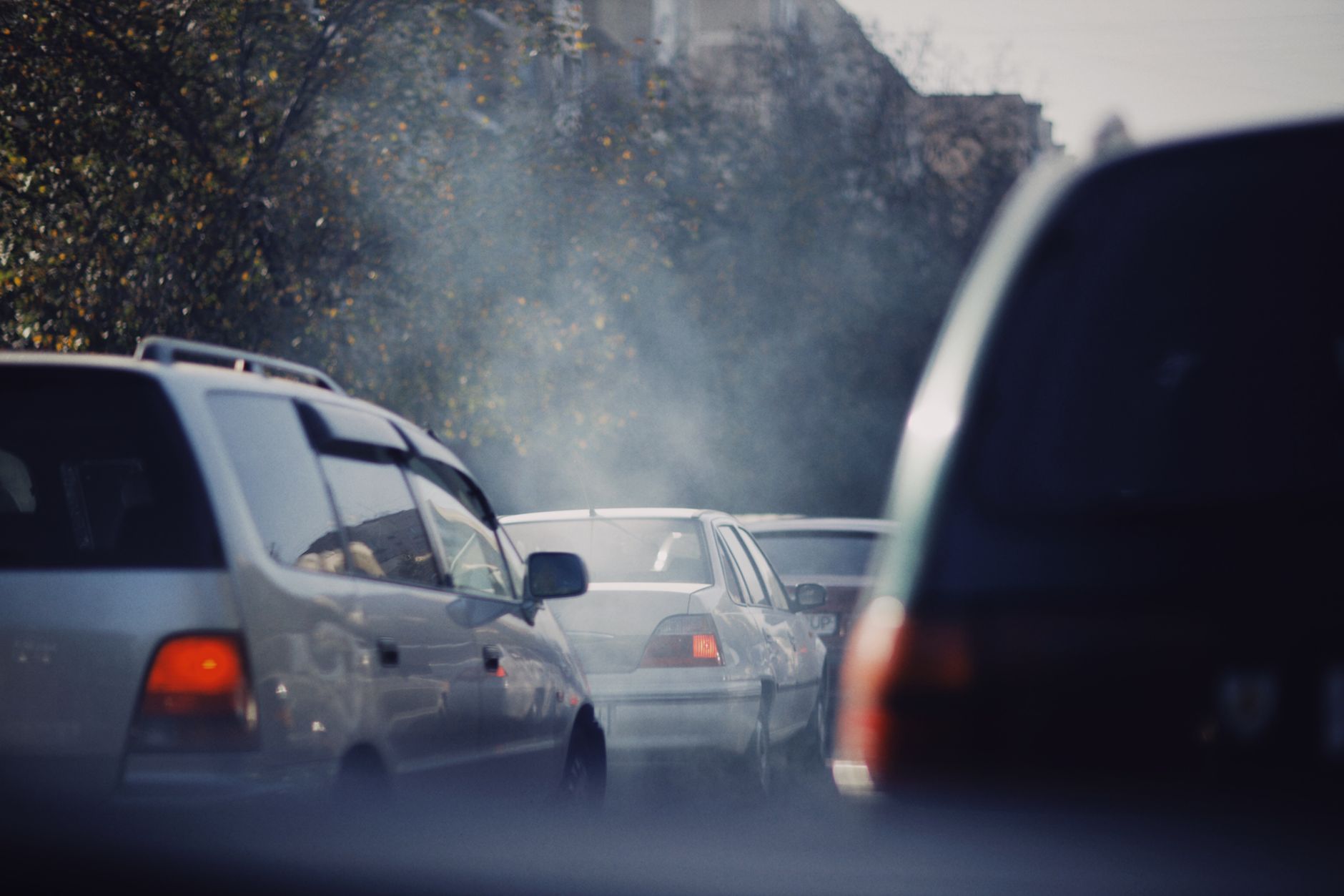 Delhi's Bold Steps Against Pollution: Minister Sirsa's Plan