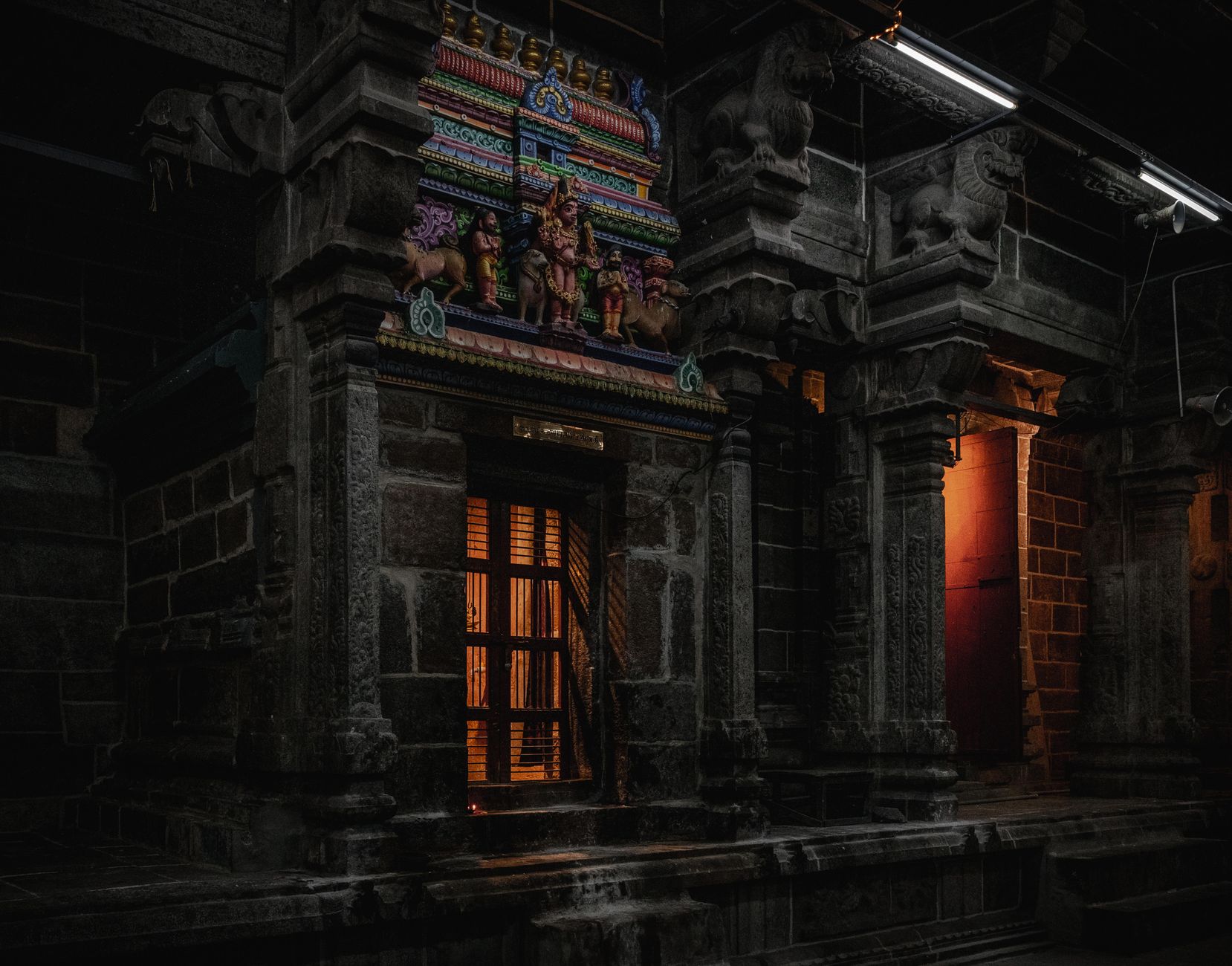 Snakebite Debate: Science Clashes with Tradition in Tamil Nadu