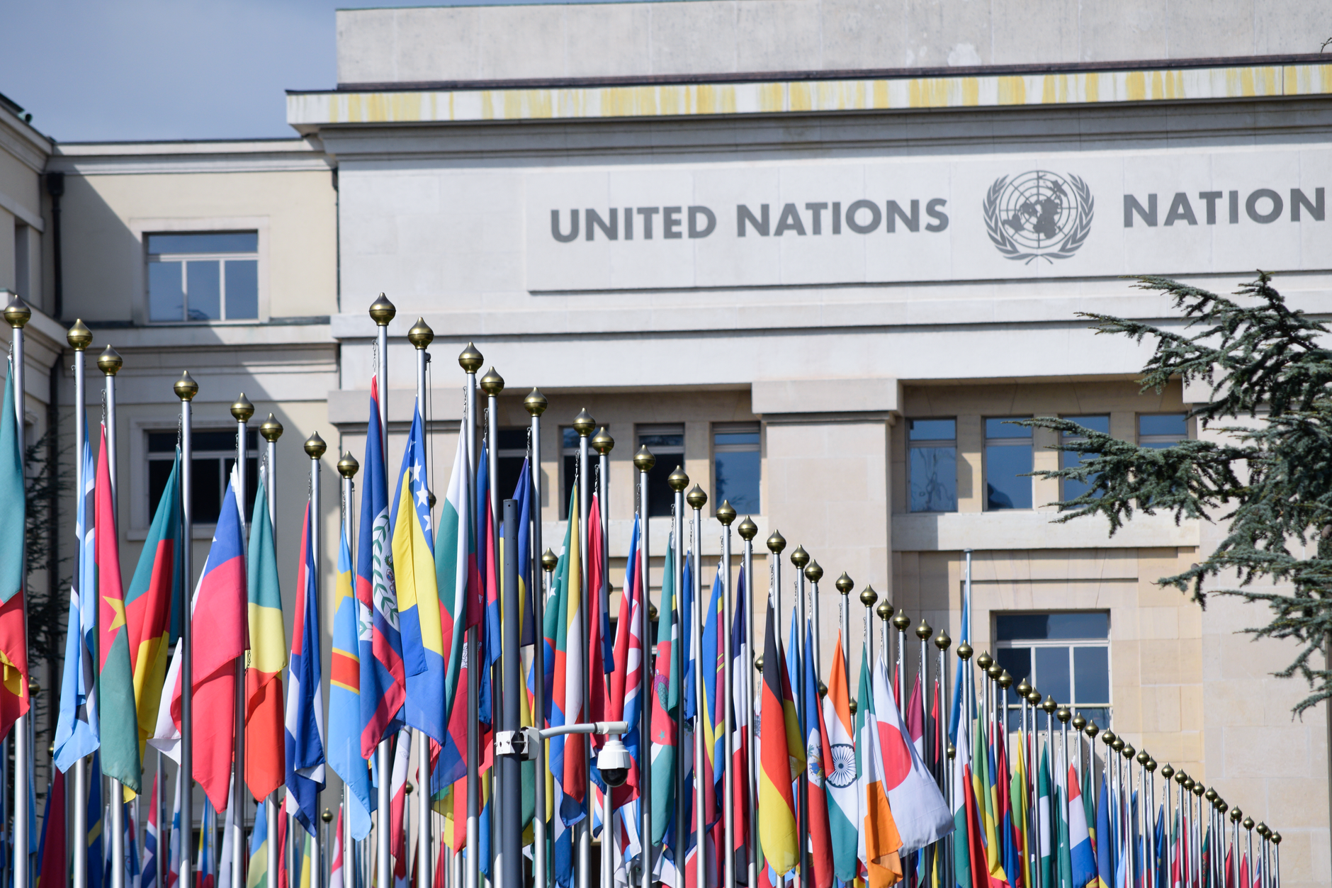 Nations Advocate for Global AI Oversight Amid Growing Concerns