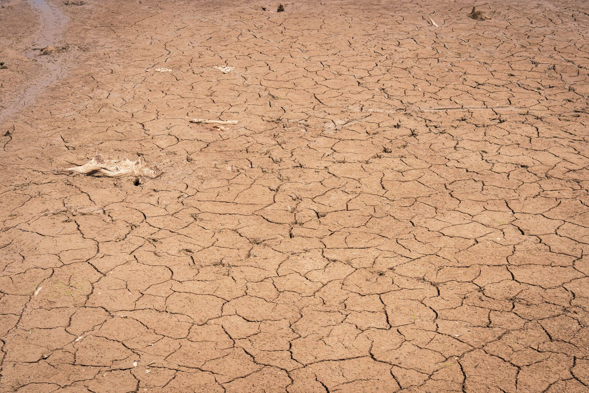 England Faces Widespread Drought Amid Unrelenting Heat