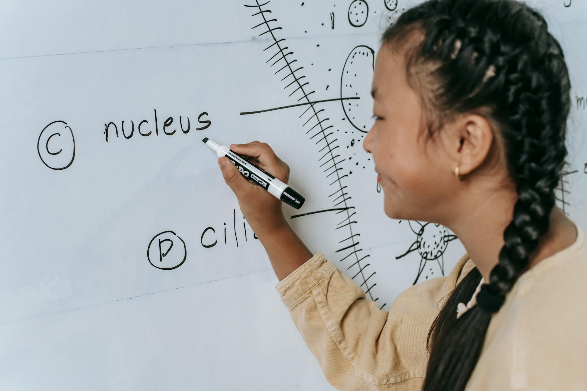 SAIL's CSR Initiative: Bringing Smart Classrooms to Rural Schools