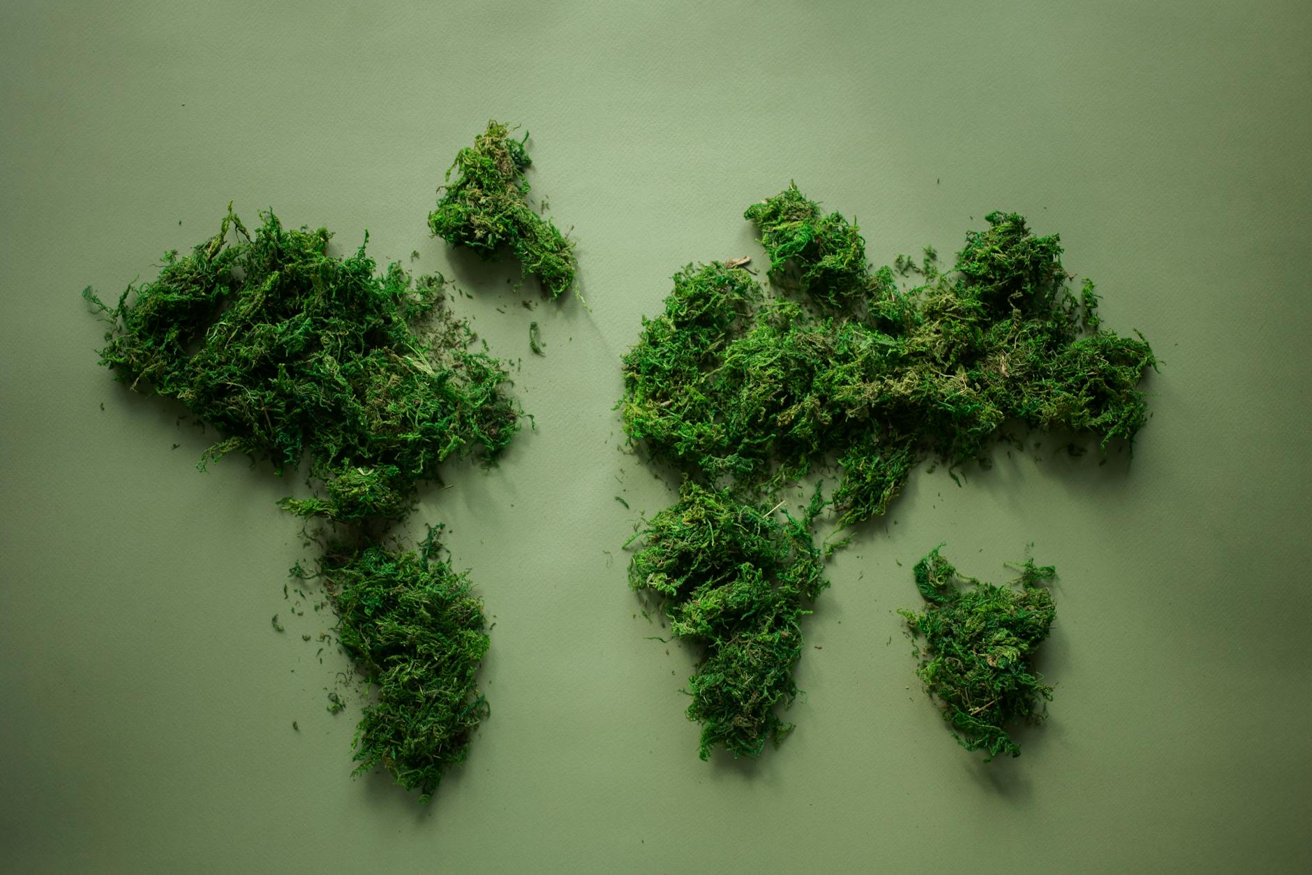 World Environment Day 2026: Nature's Inspiration and Nutritional Wisdom