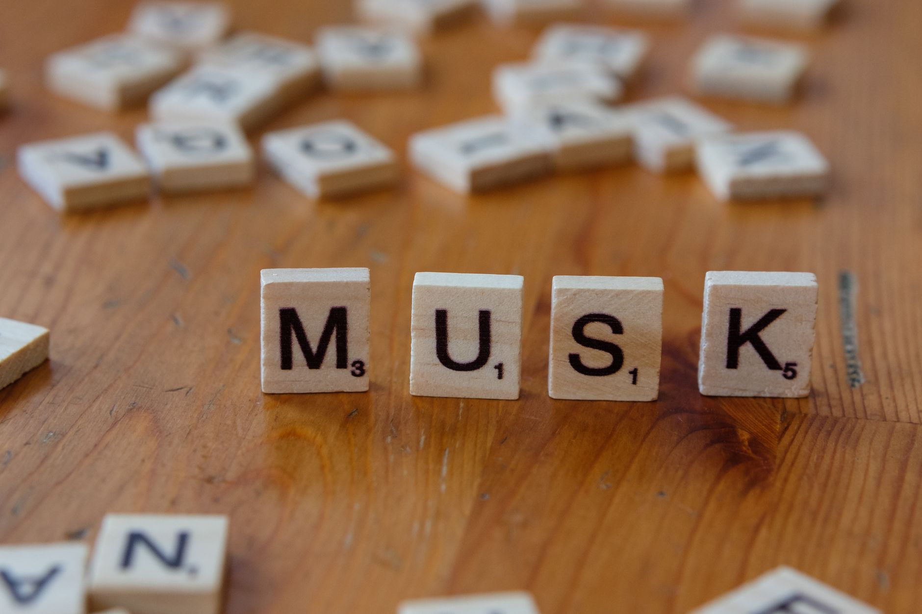 Elon Musk's Ventures: From AI to the Stars