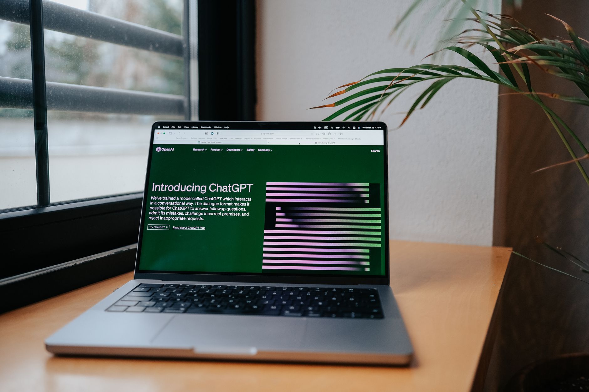 From Queries to Tasks: ChatGPT's Growing Role in Workplaces