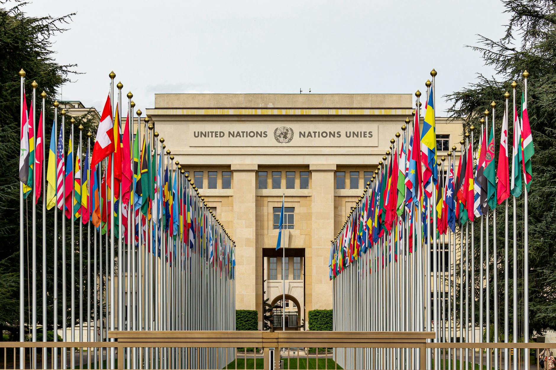 Global Health Strategies Discussed at WHA in Geneva