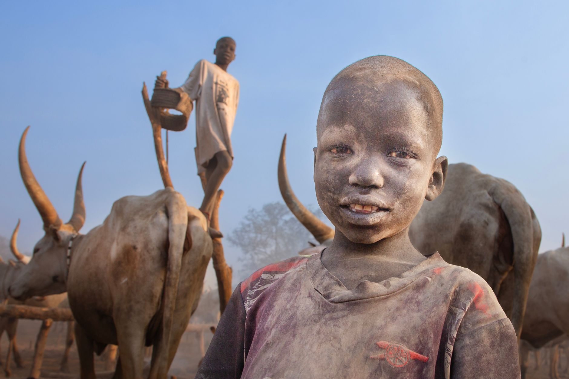 Indian Peacekeepers Revitalise Livestock Health in Jonglei