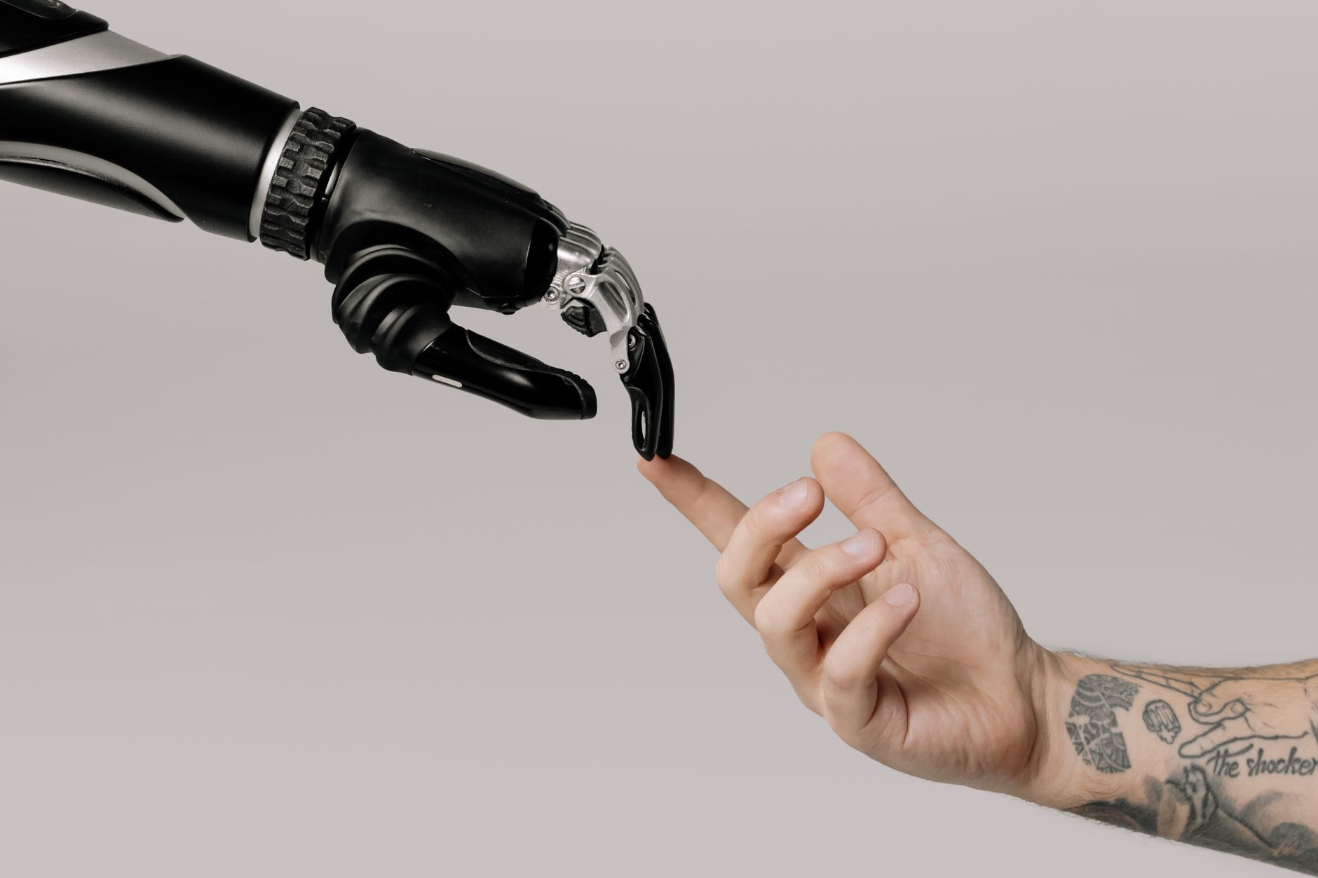 Meta's Muse AI Targets Small Businesses in Strategic Expansion