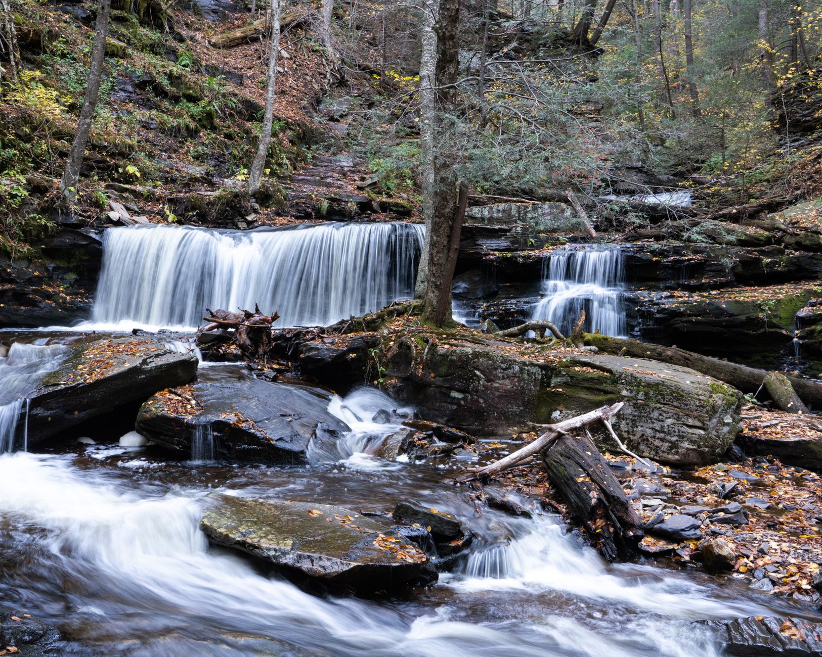 Pennsylvania's Environmental Guardianship: A Legacy in Peril