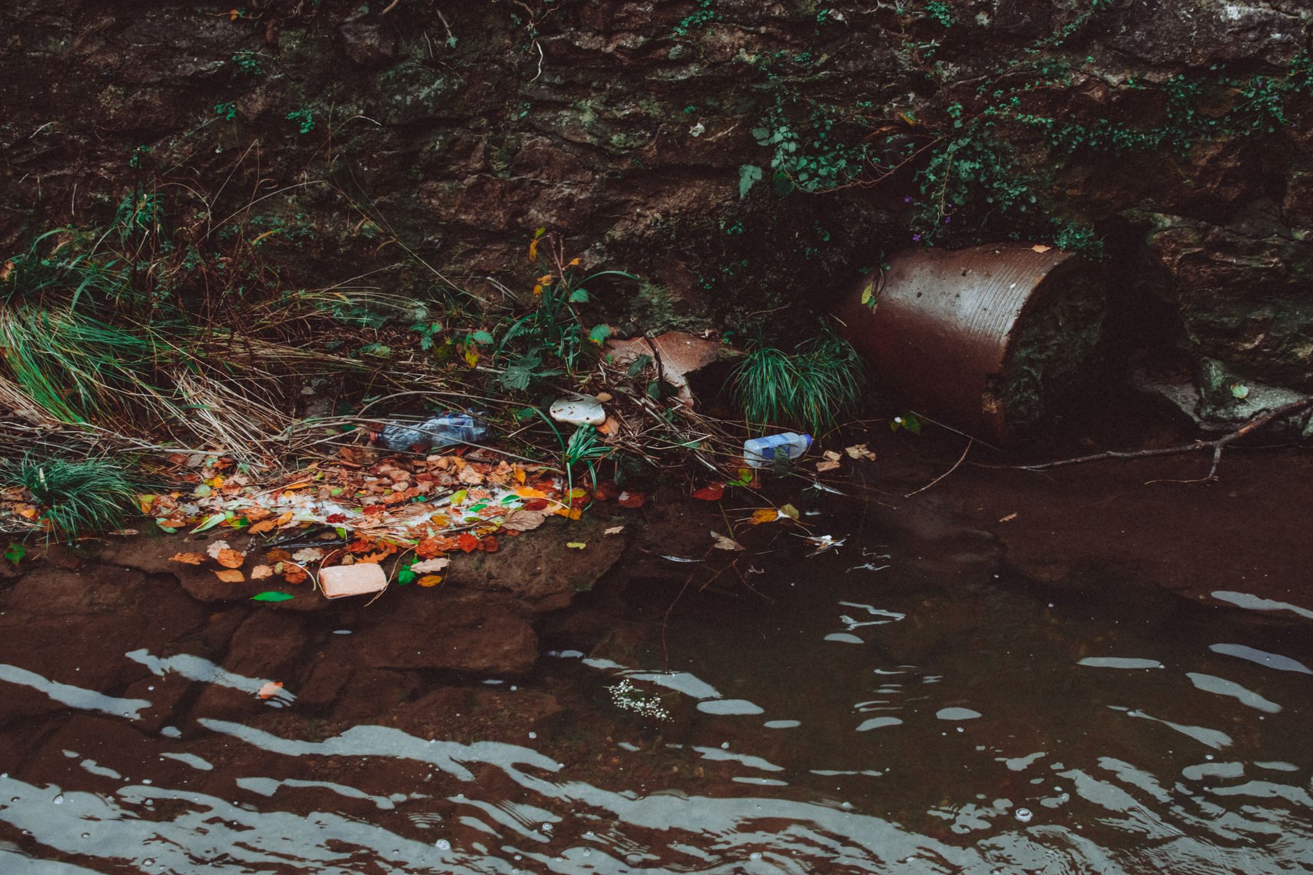 Yorkshire Firms Fined for Environmental Violations