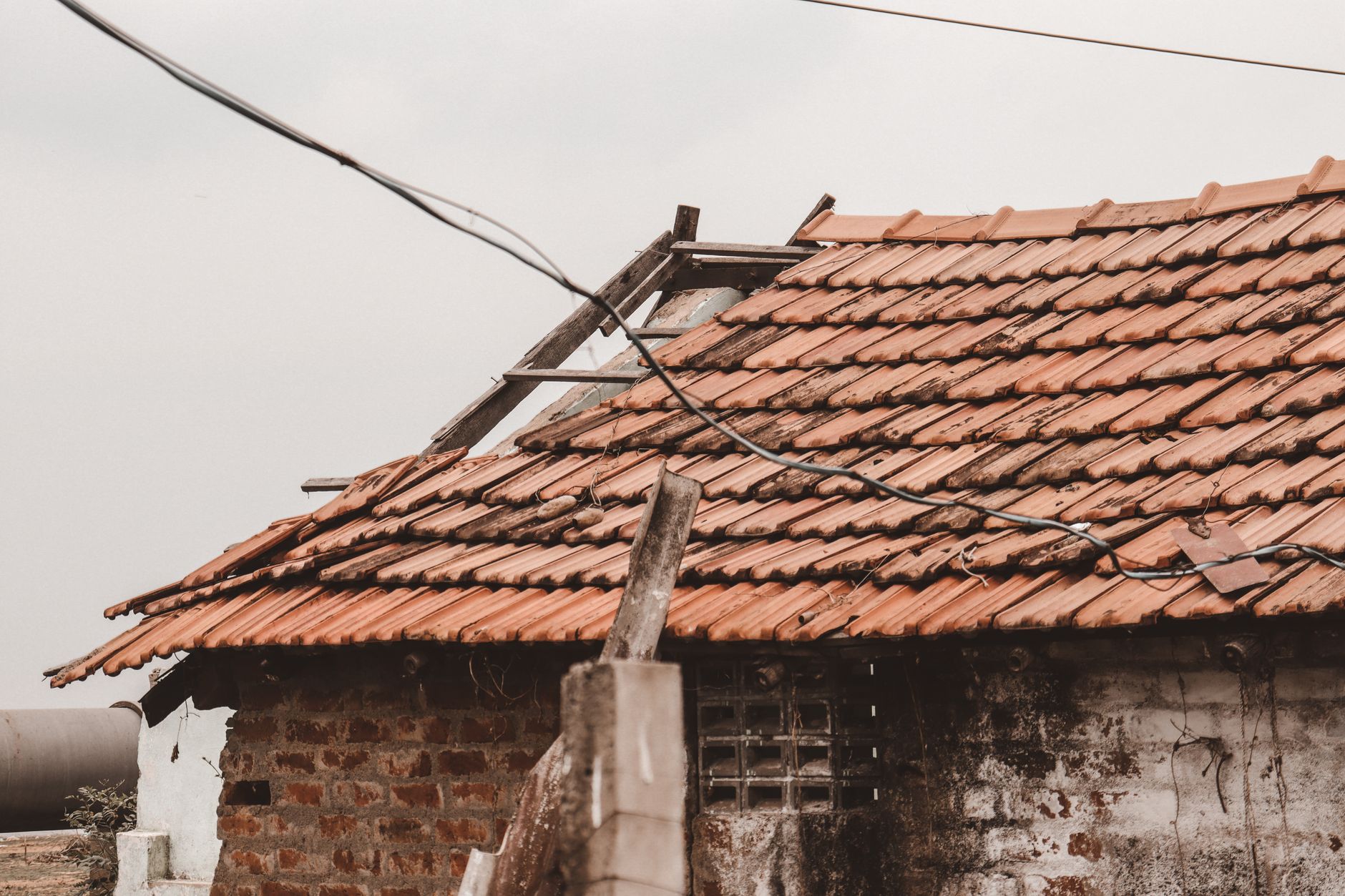 Chennai Housing Project Halted Amid Environmental Concerns
