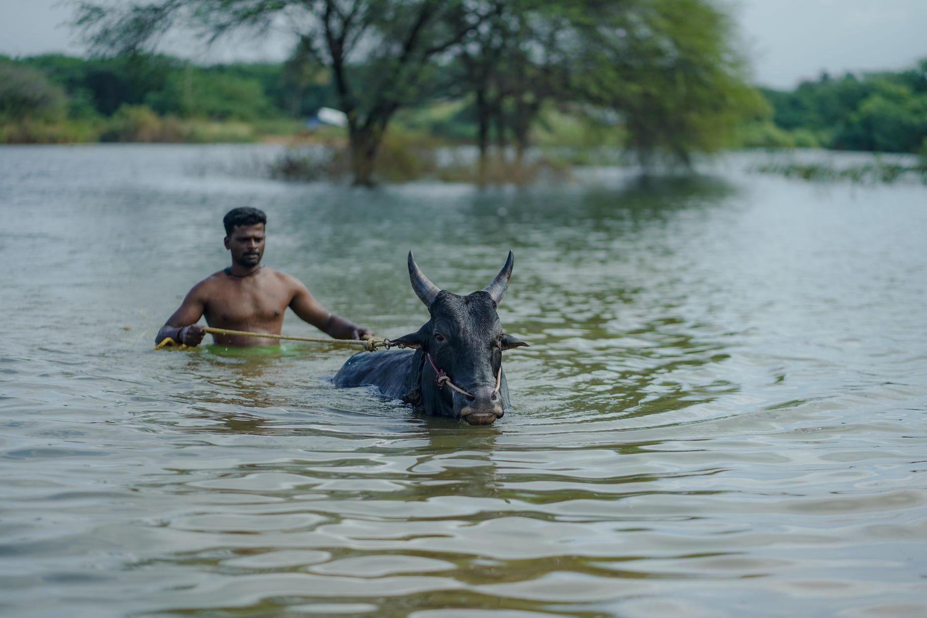 Tamil Nadu's New Secretariat: A Clash of Progress and Preservation