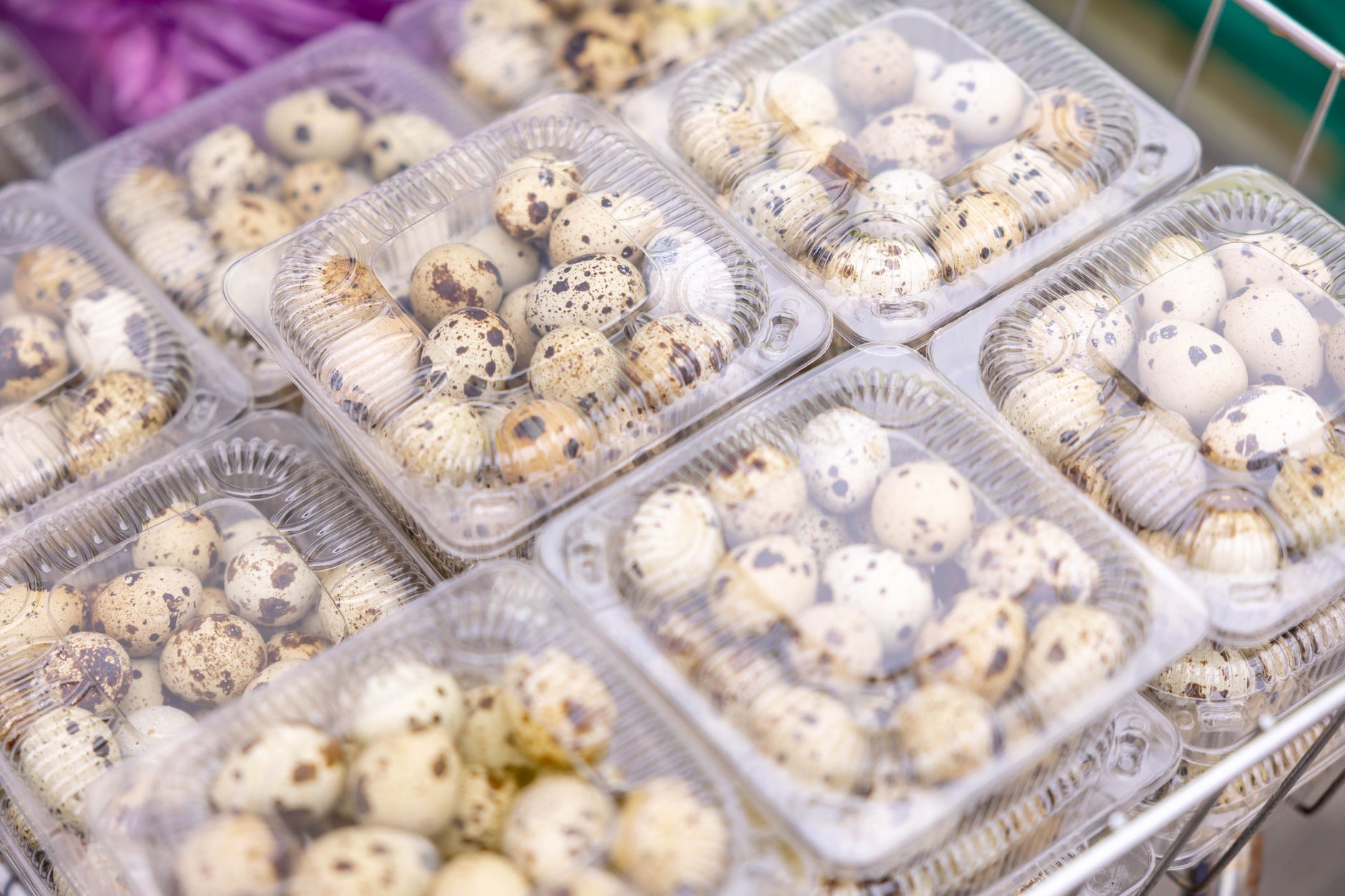 From Gym to Grocery: The Rise of Protein as a Global Phenomenon