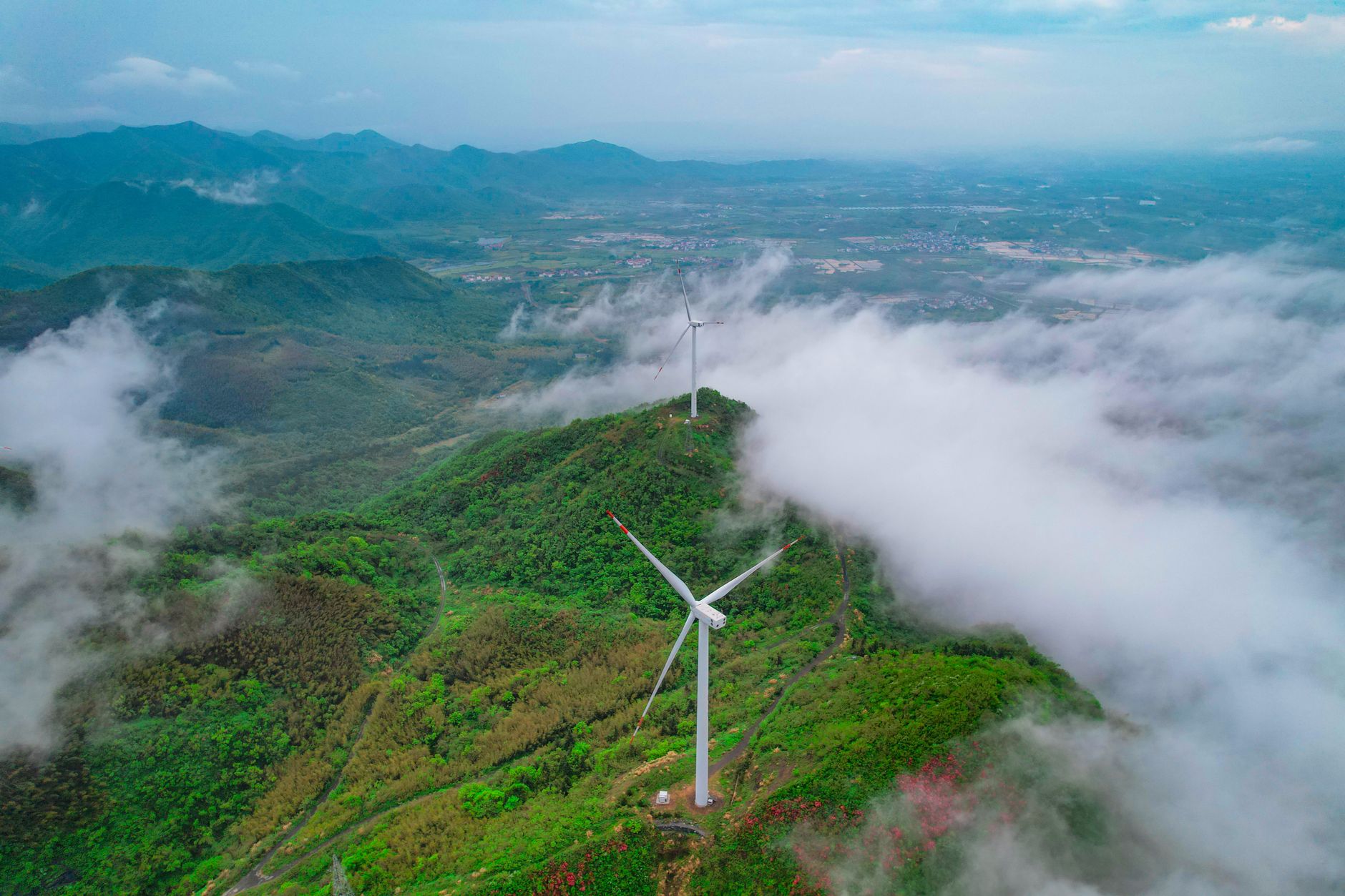 China's Ecological Code: A New Era with AI's Helping Hand