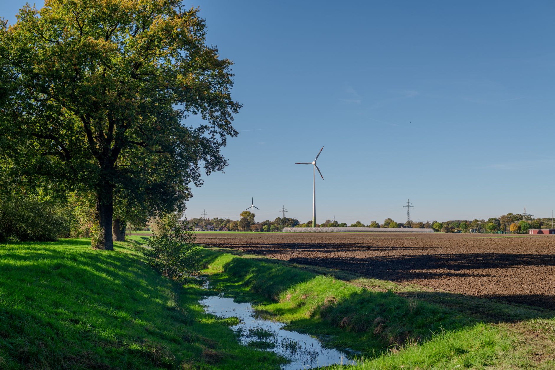 Indo-German Forum in Delhi: Paving Paths to Environmental Resilience