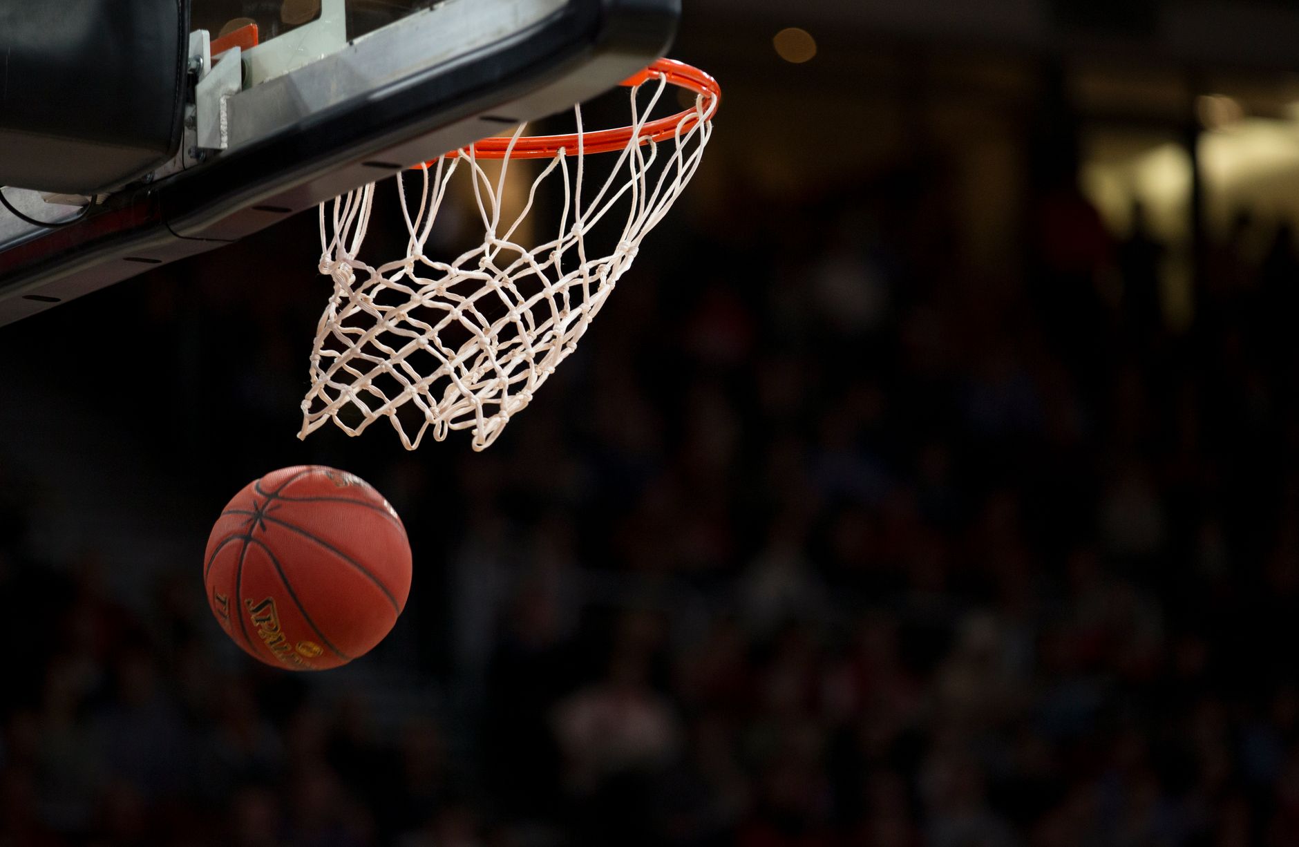FIBA Women's World Cup 2026: A Global Basketball Spectacle
