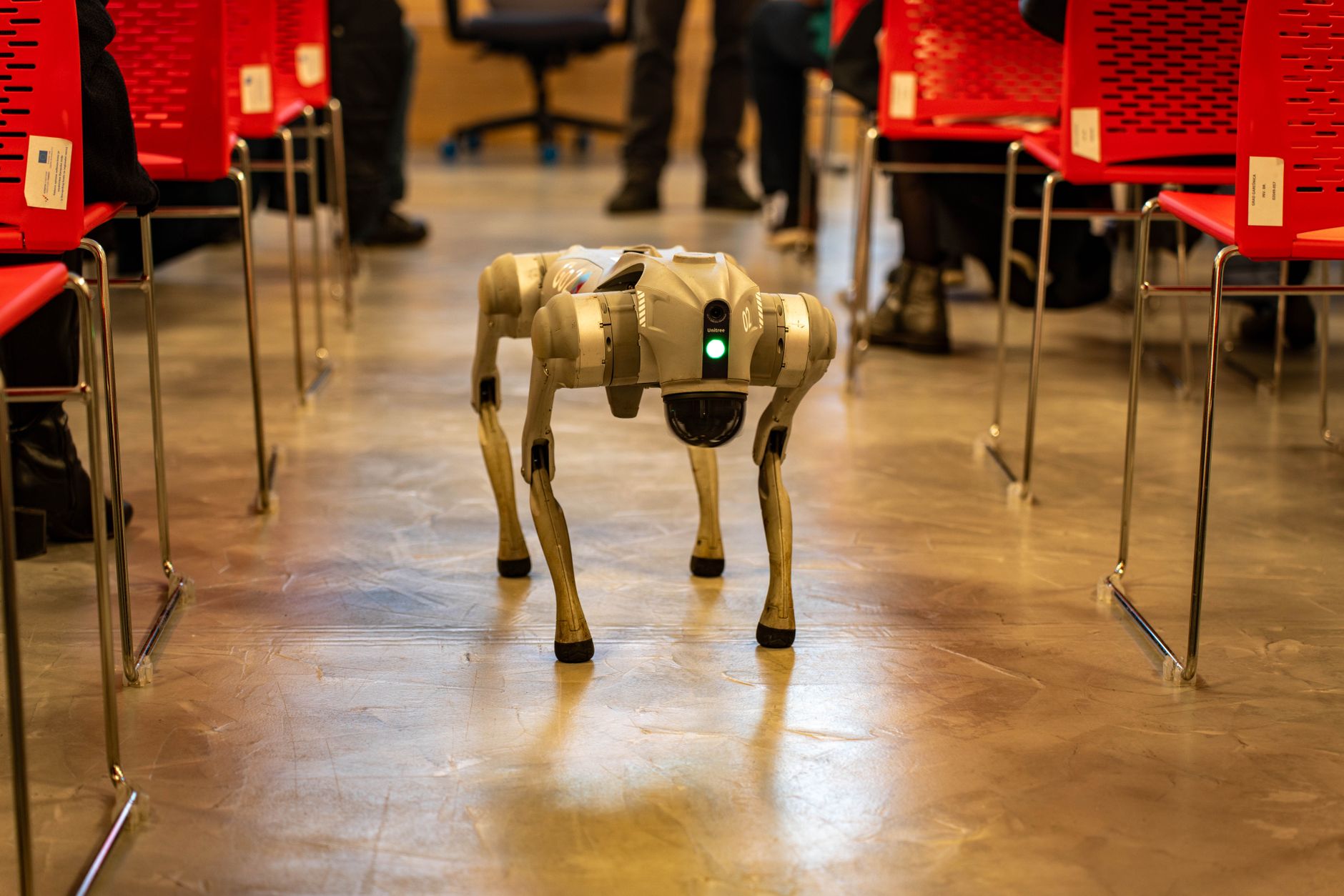 Unitree Robotics' Remarkable Surge on Shanghai Debut