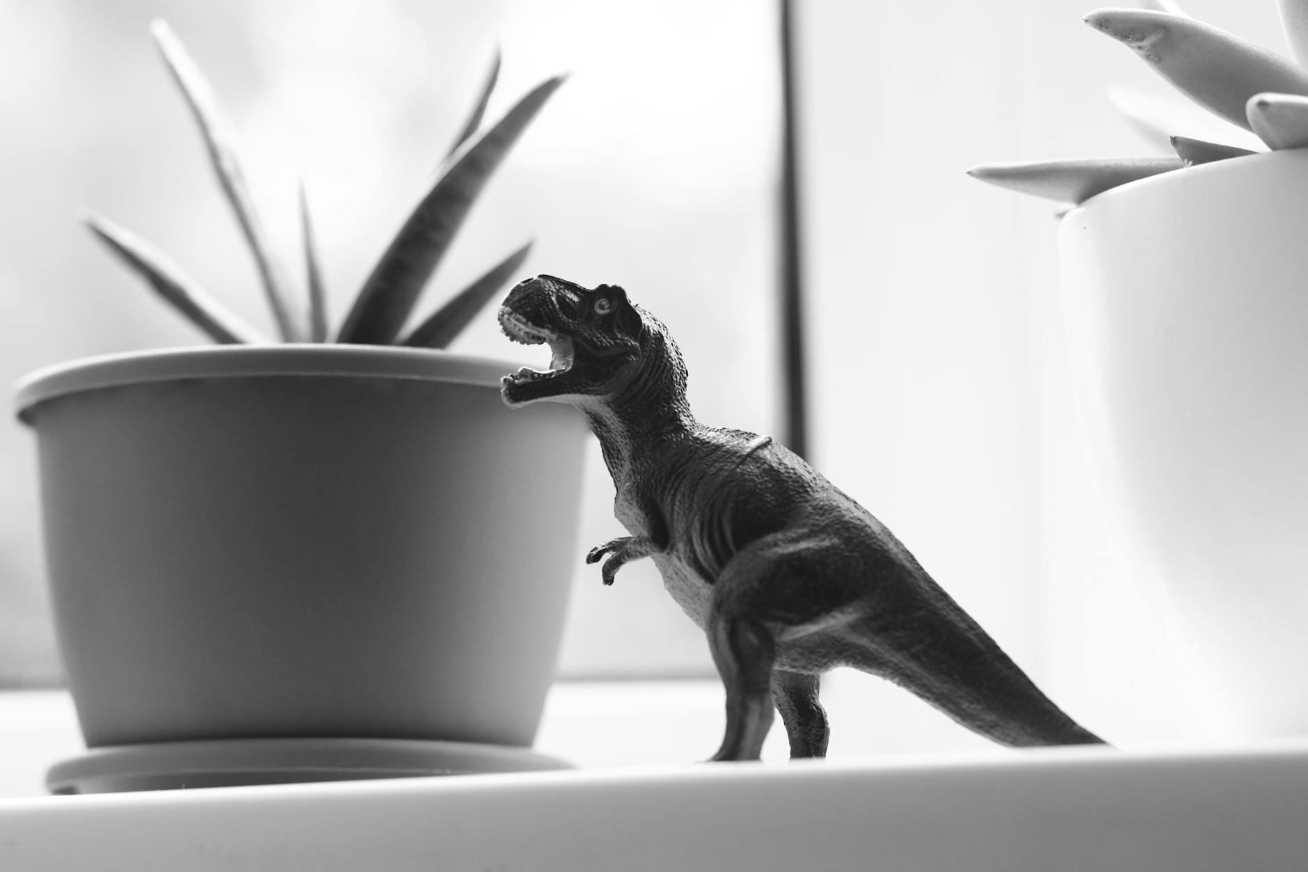 Tyrannosaurus Rex: The Enigma of Its Tiny Arms Unravelled