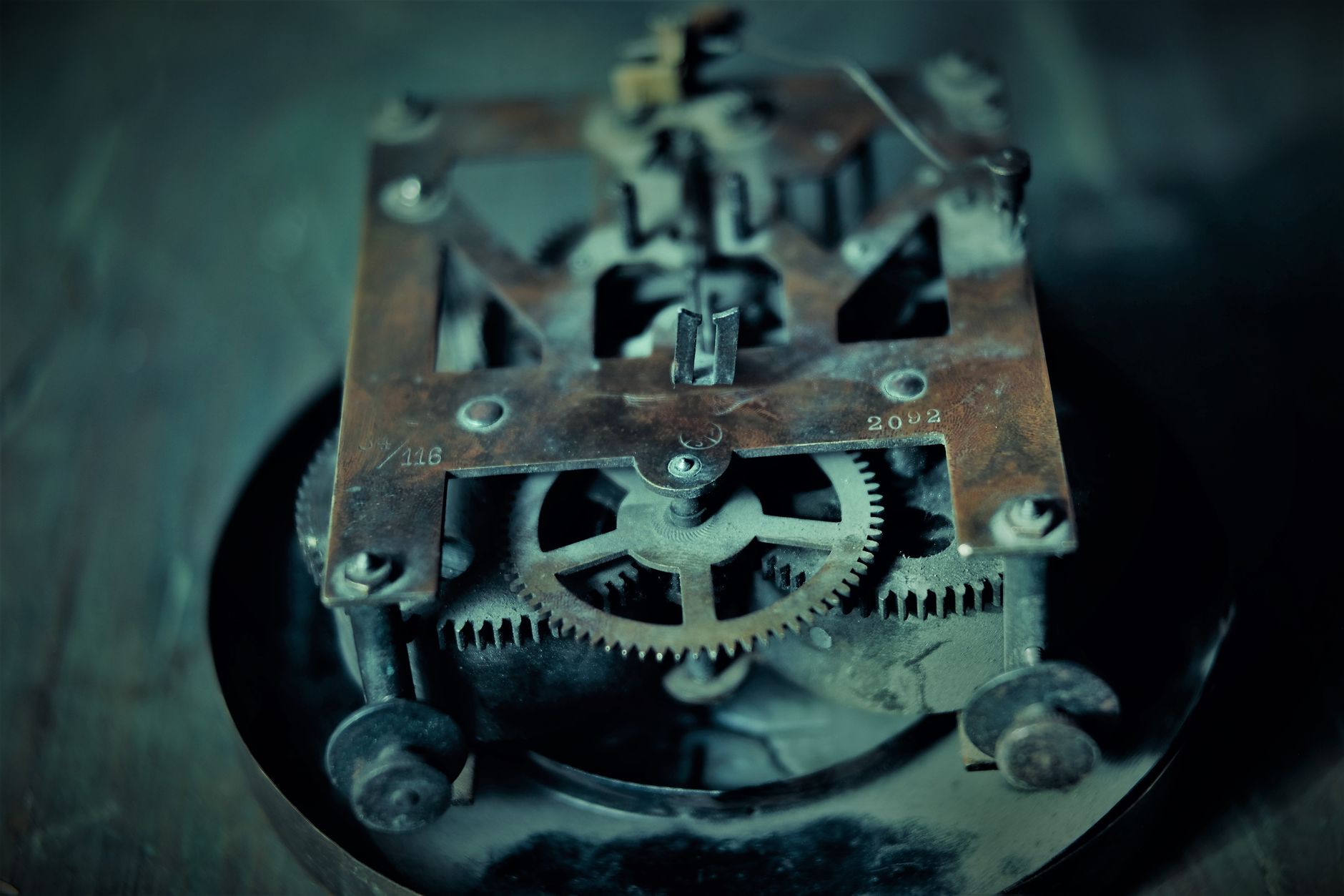 Unravelling the Mysteries of Biological Aging Clocks