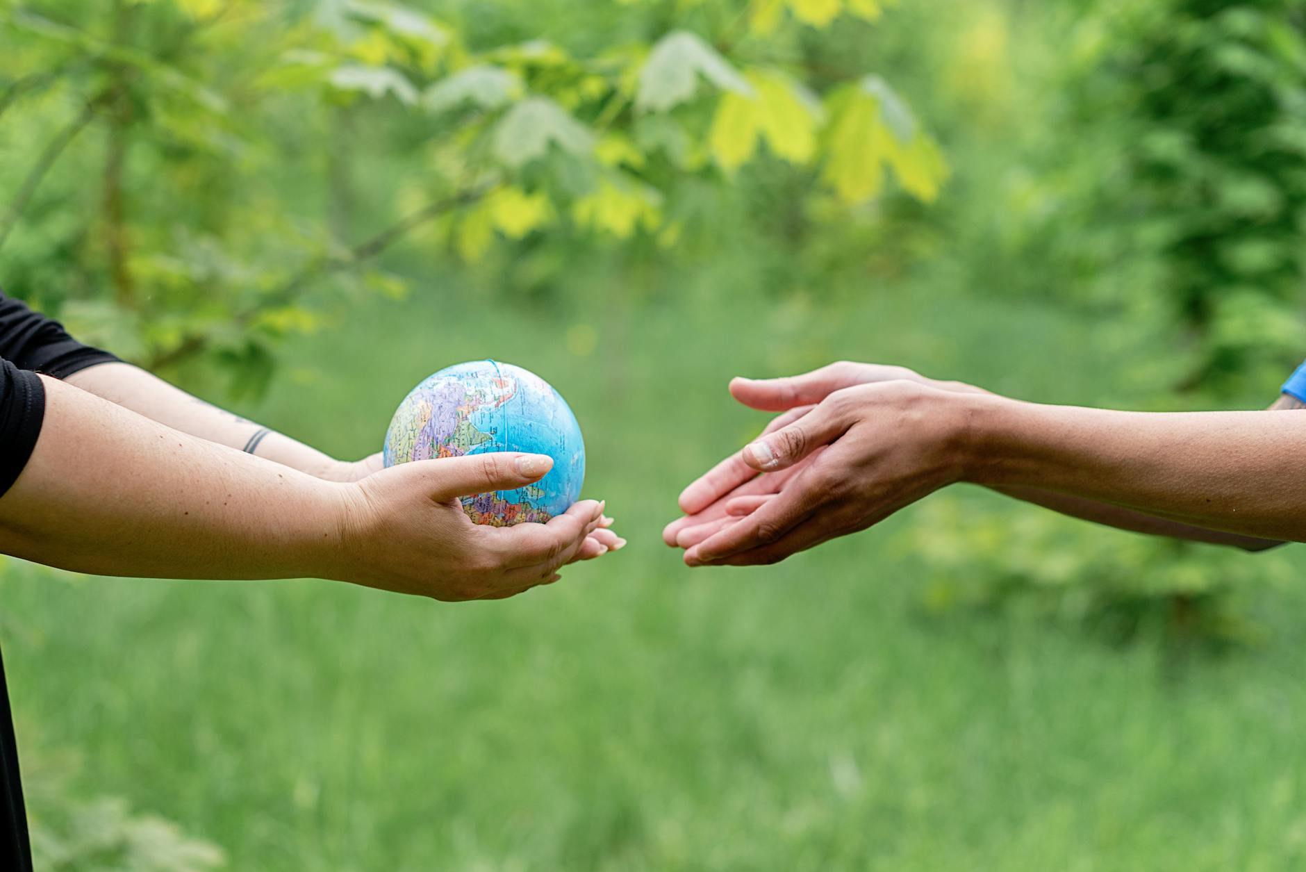 Valmiki University Embraces Green Future on World Environment Day