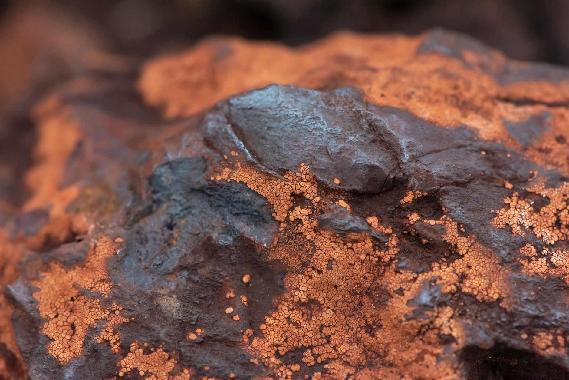 Ancient Earth Clue Misinterpreted: A Local Phenomenon Unveiled