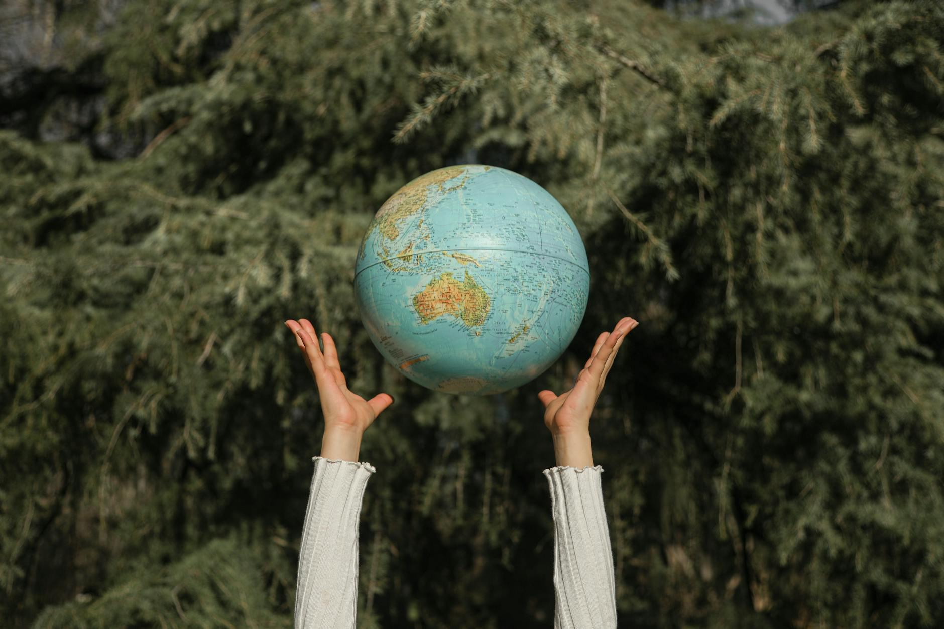 APPCB Champions Nature with Student Competitions for World Environment Day