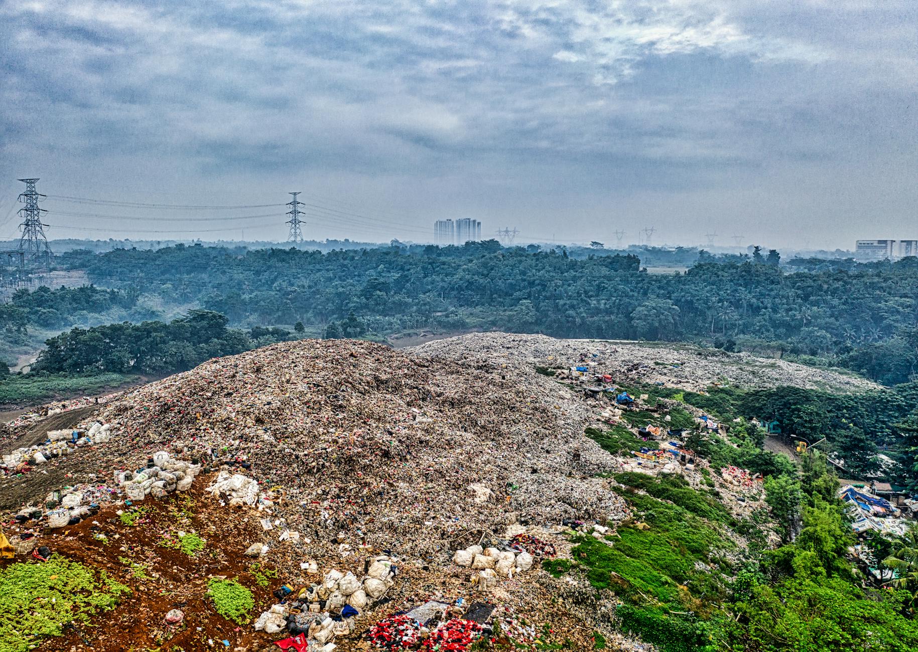 Sankey Tank Faces Ecological Crisis Amid Unchecked Development