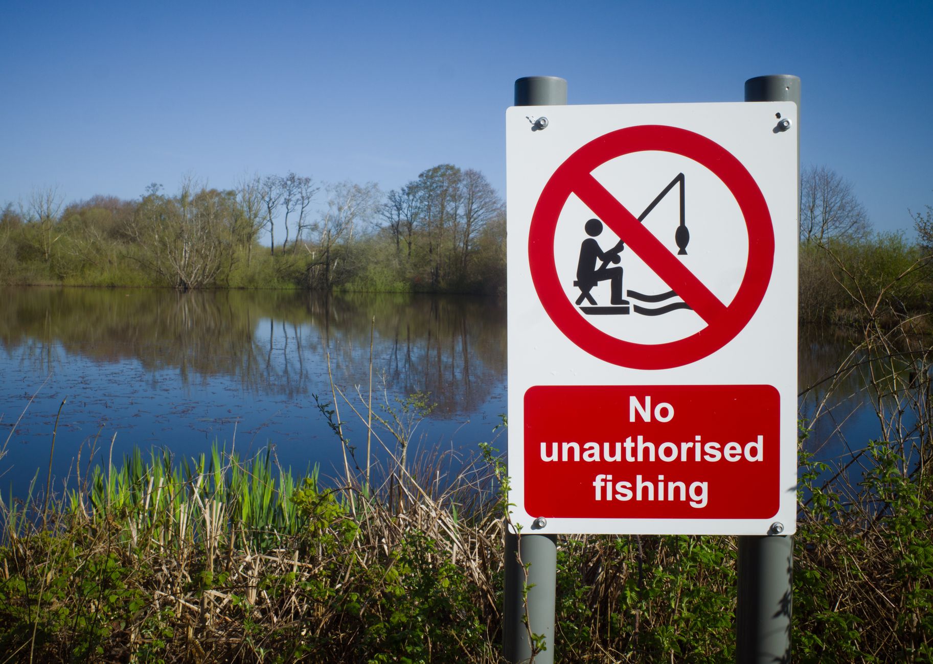 Conservatives Aim to Abolish Key Environment Bodies
