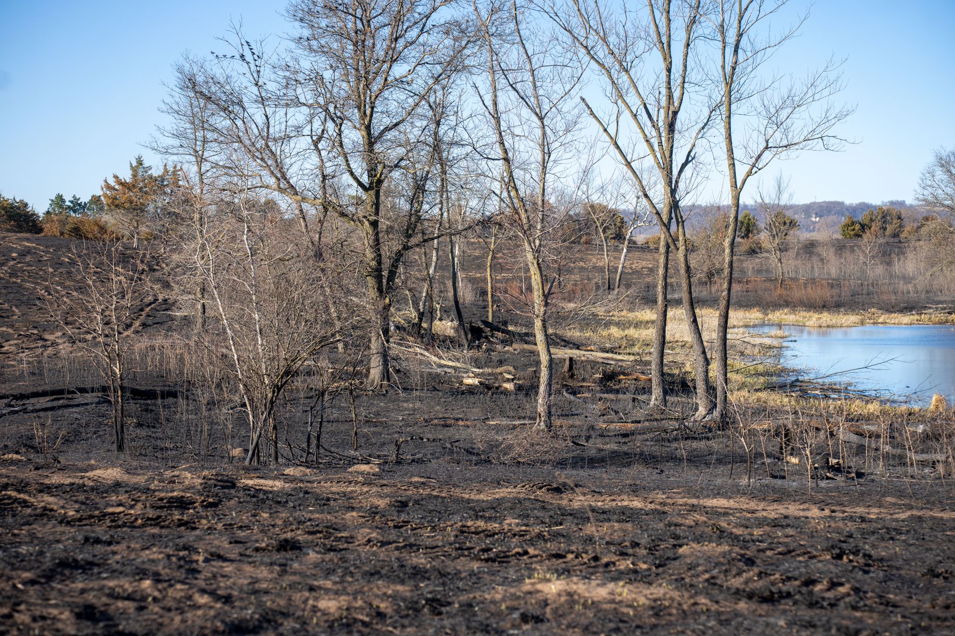 ATREE's LakeRevive: Empowering Communities to Restore Lakes