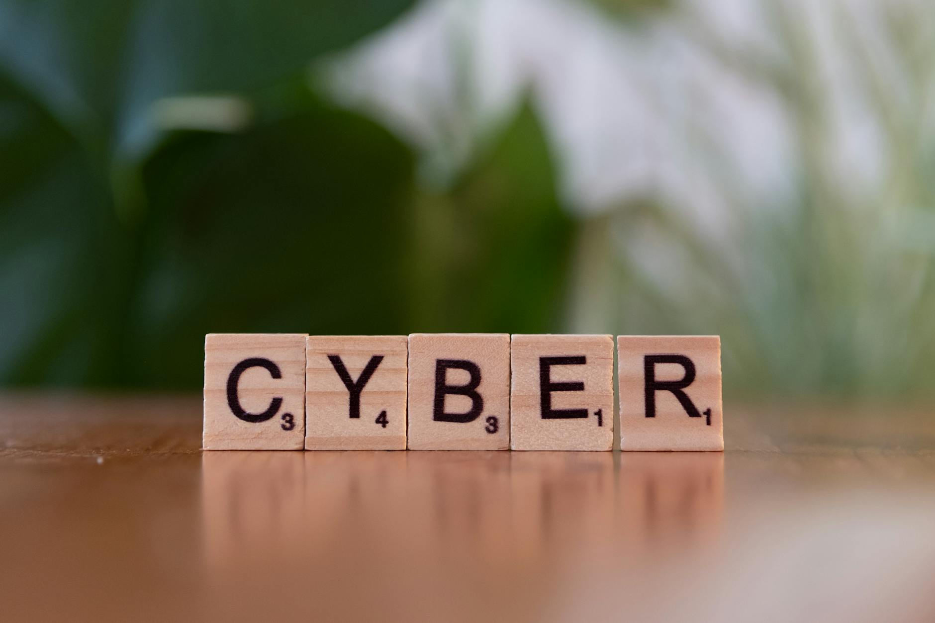 Karnataka Survey Leak Sparks Concern Over Data Security