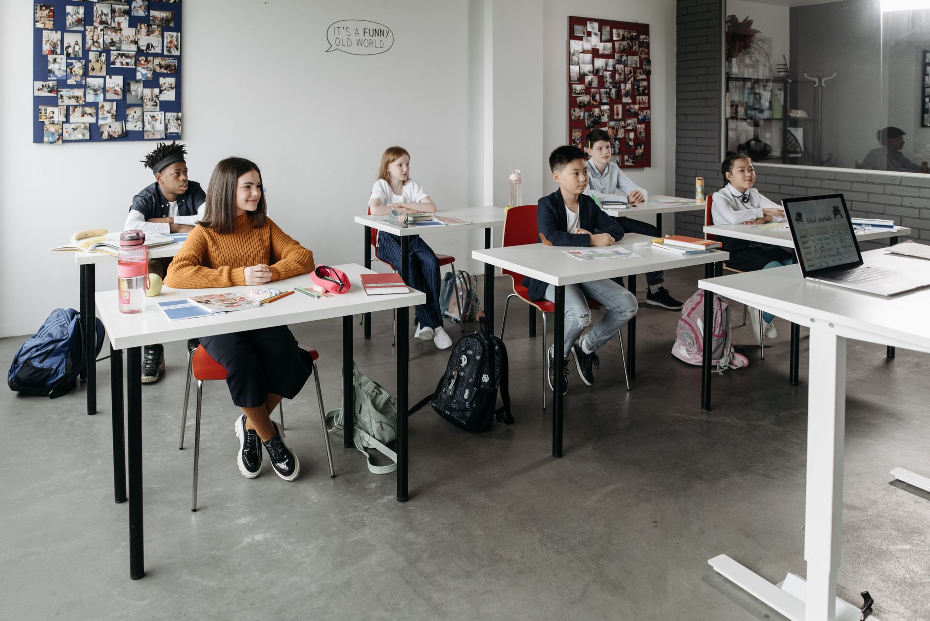 New Bridge Course Launched for BEd Primary Teachers