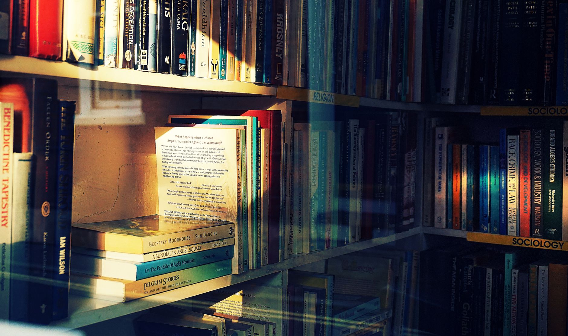 Children's Biographies May Unintentionally Discourage Budding Scientists