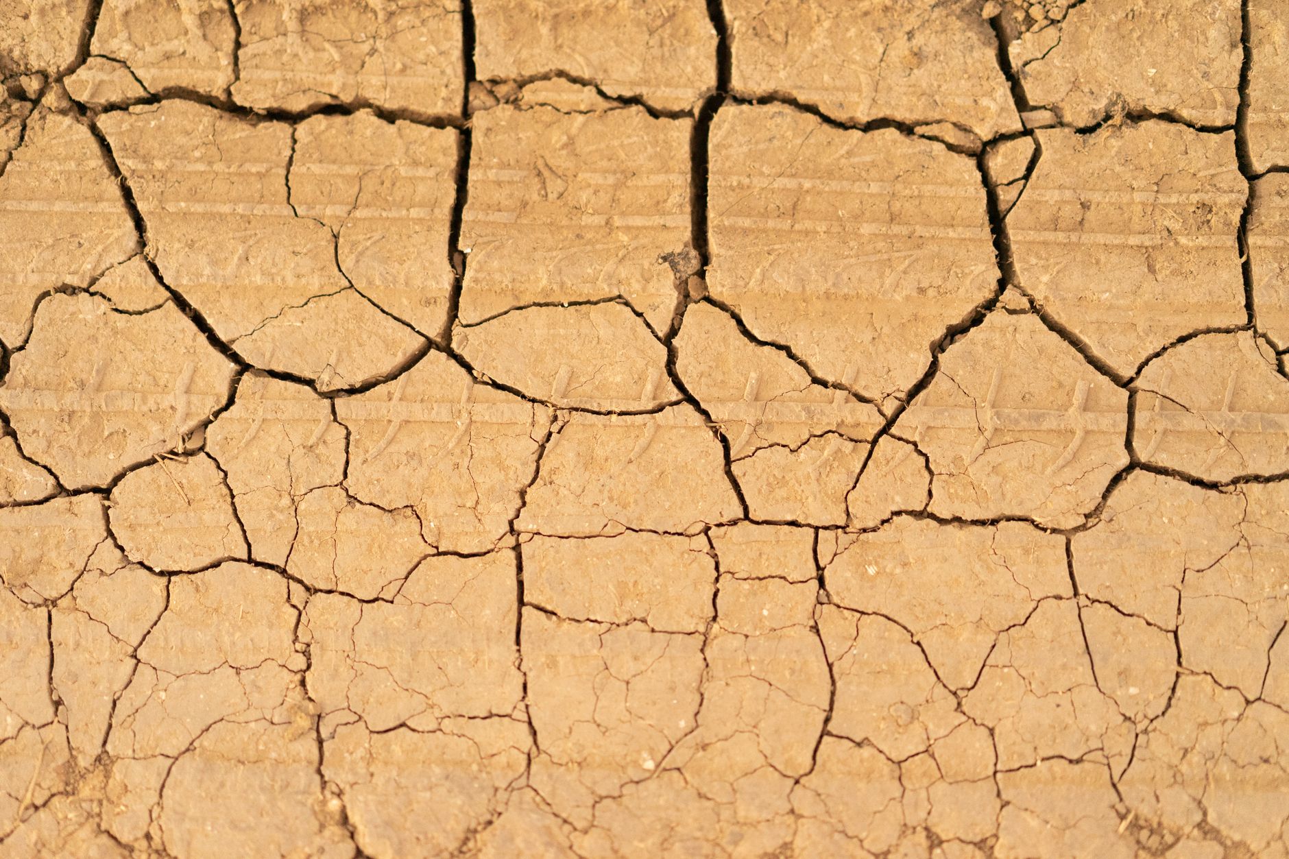 Rain Returns to Britain, But Drought Persists