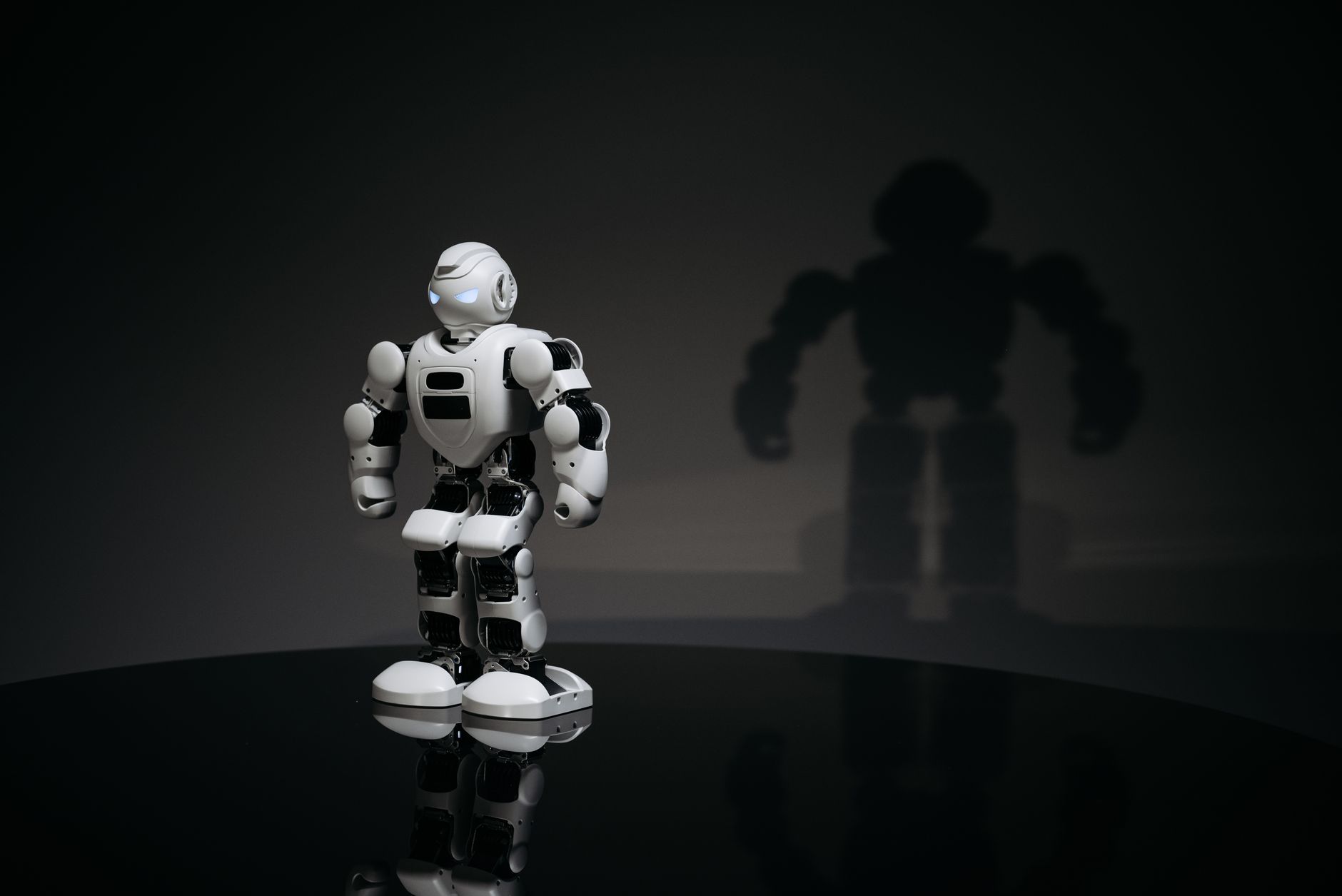 China's Robotic Renaissance: A Decade of Technological Triumphs
