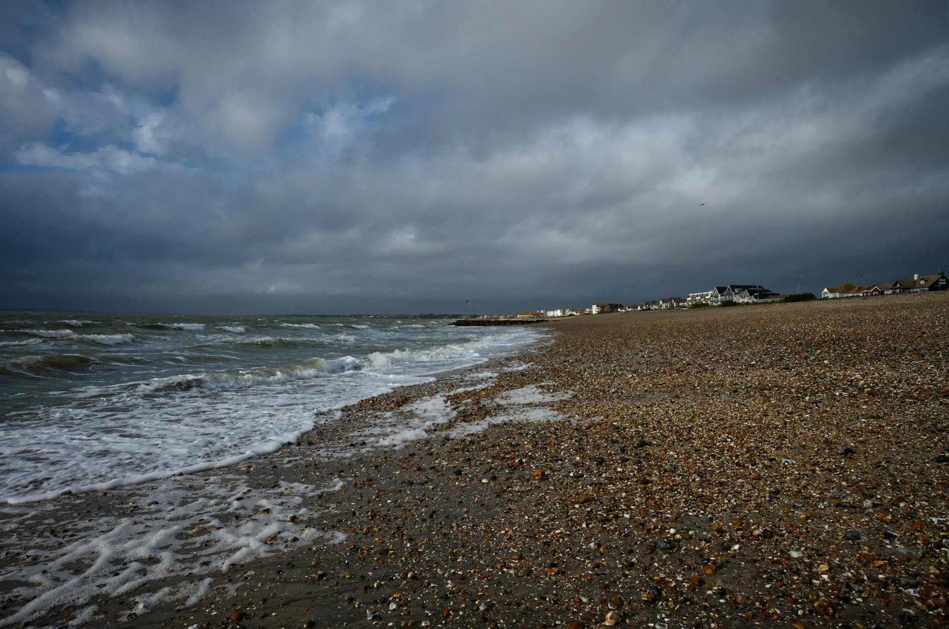 Alarming Pollution Levels as Forever Chemicals Linger in Solent