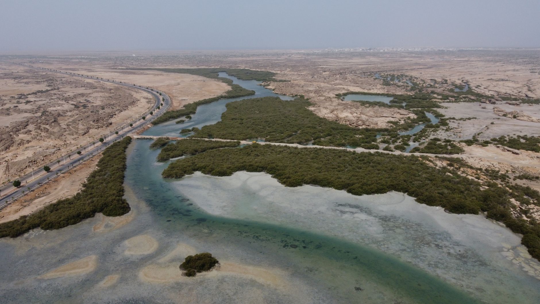 India and Saudi Arabia Forge an Environmental Alliance