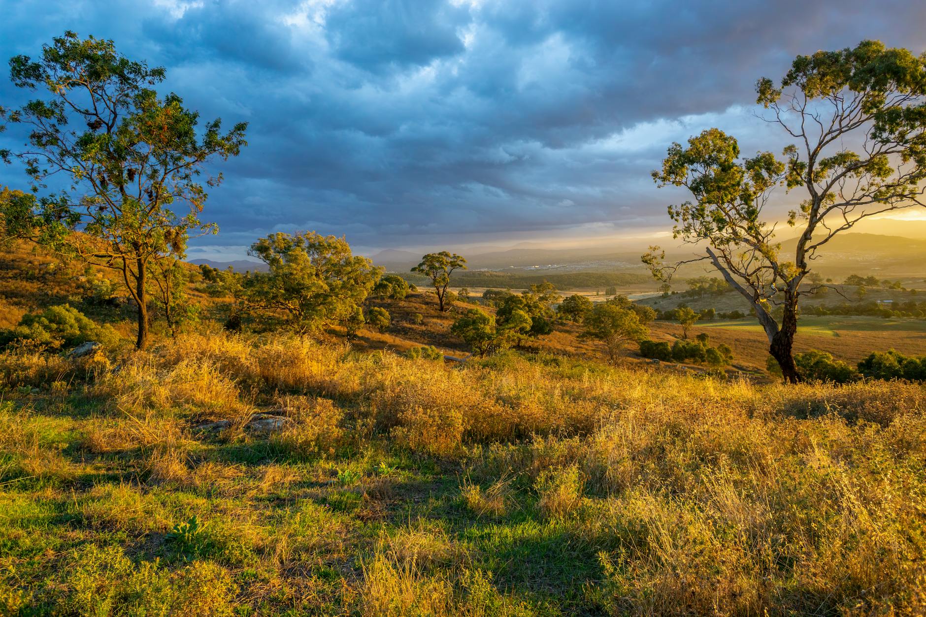 Toowoomba's Green Initiative: Grant Programme for Community Projects